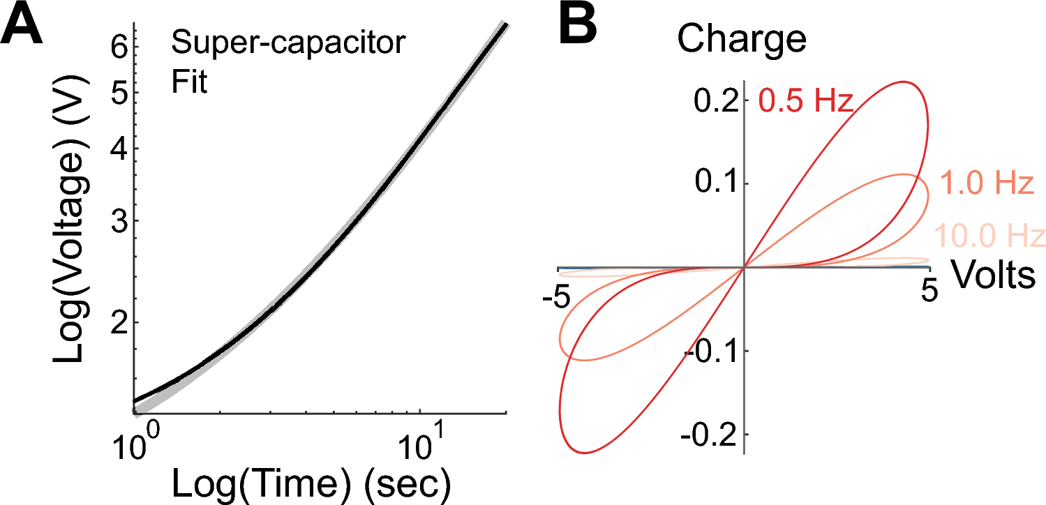 Fractional order memcapacitive neuromorphic elements reproduce and predict  neuronal function