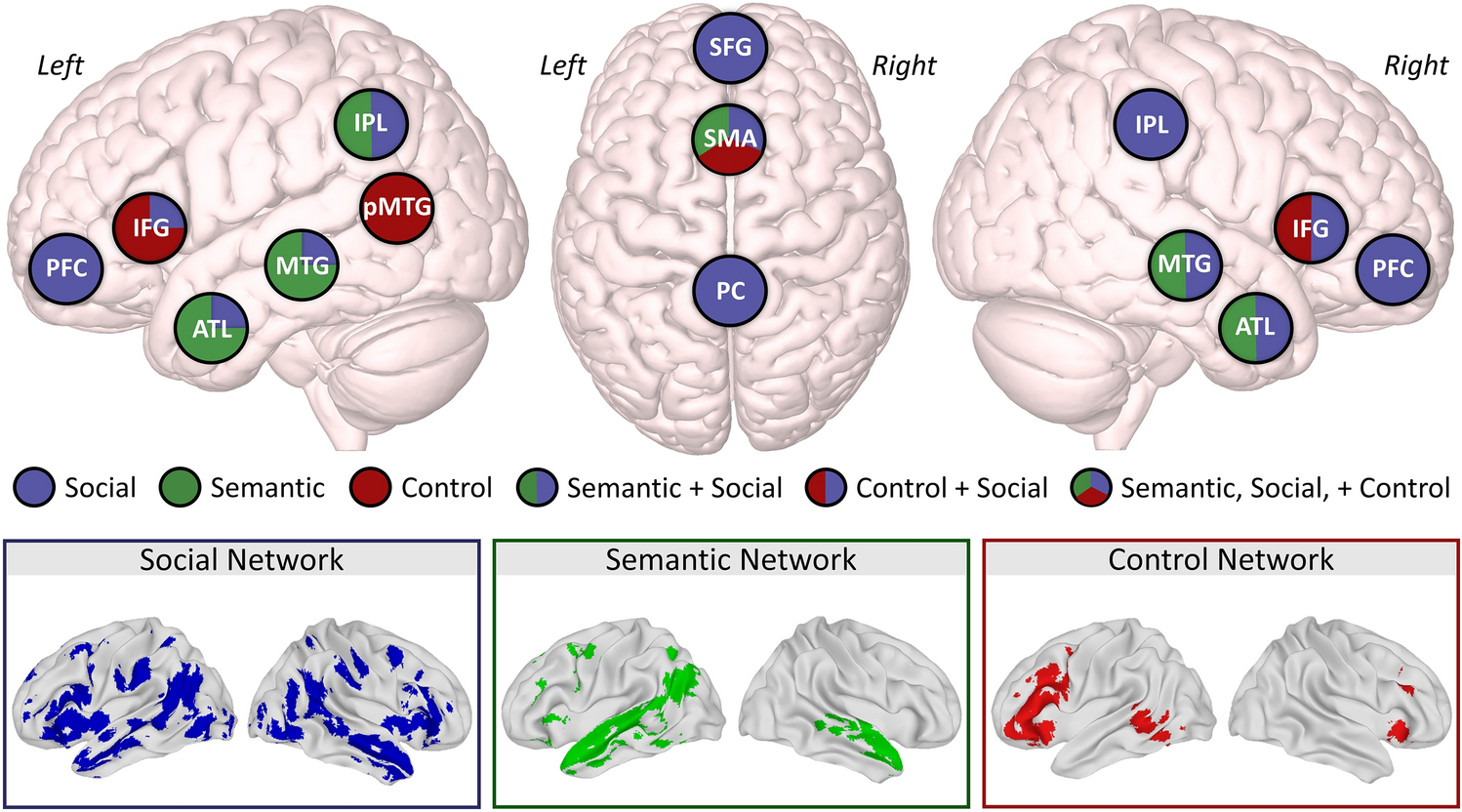 The neural basis of naturalistic semantic and social cognition 