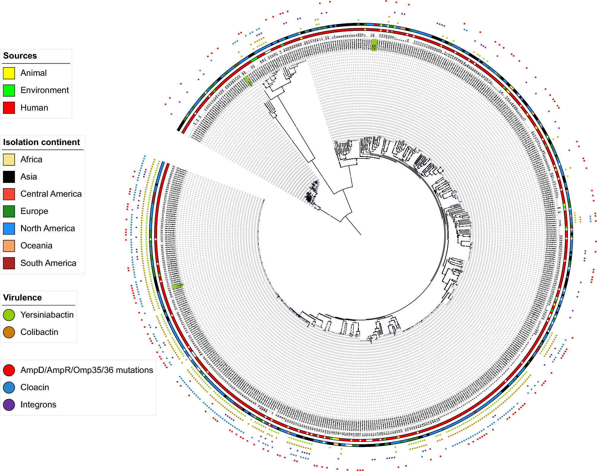 In-depth analysis of Klebsiella aerogenes resistome, virulome and  plasmidome worldwide