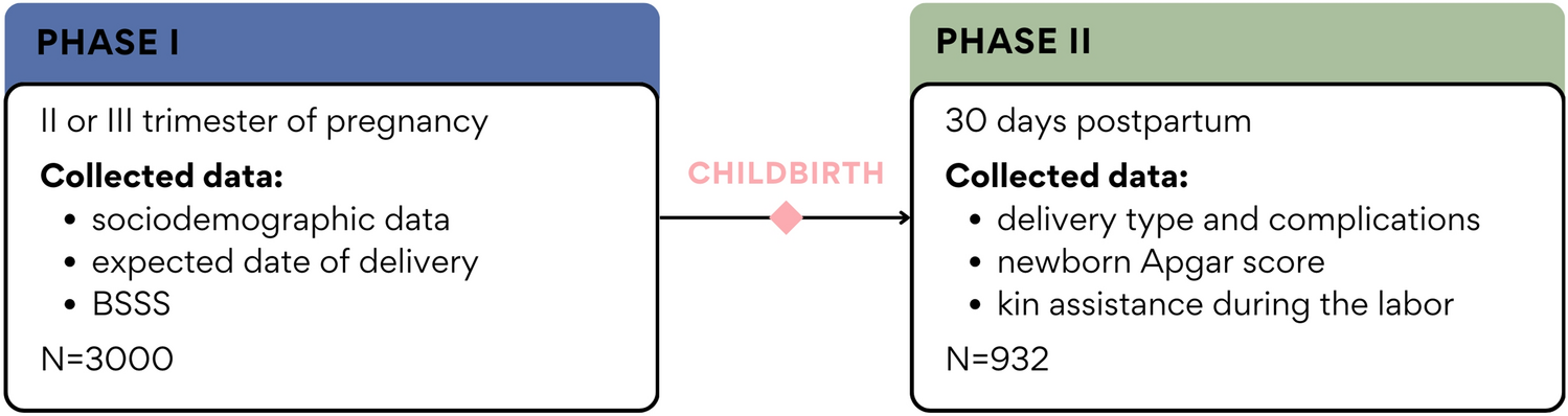 Social support during pregnancy and the risk of postpartum depression in  Polish women: A prospective study