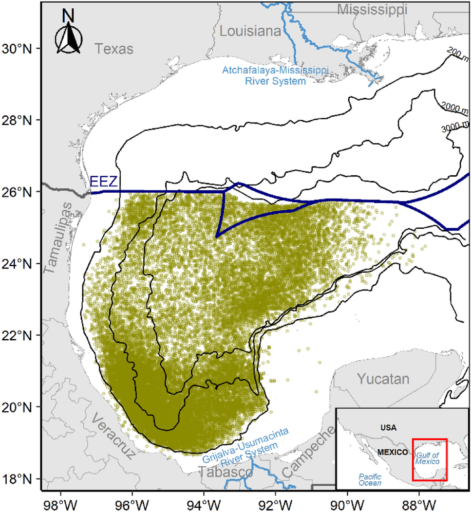 Mesoscale activity drives the habitat suitability of yellowfin tuna in the  Gulf of Mexico | Scientific Reports, image size:967x1052