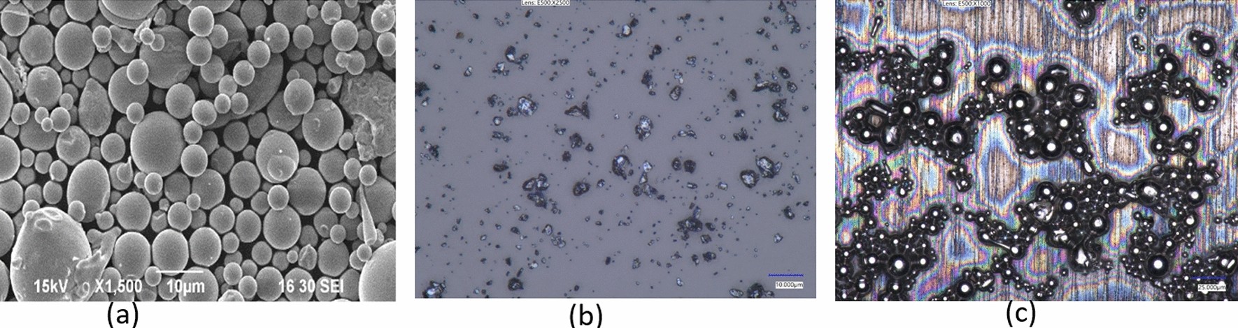 In-situ particle analysis with heterogeneous background: a machine learning  approach | Scientific Reports
