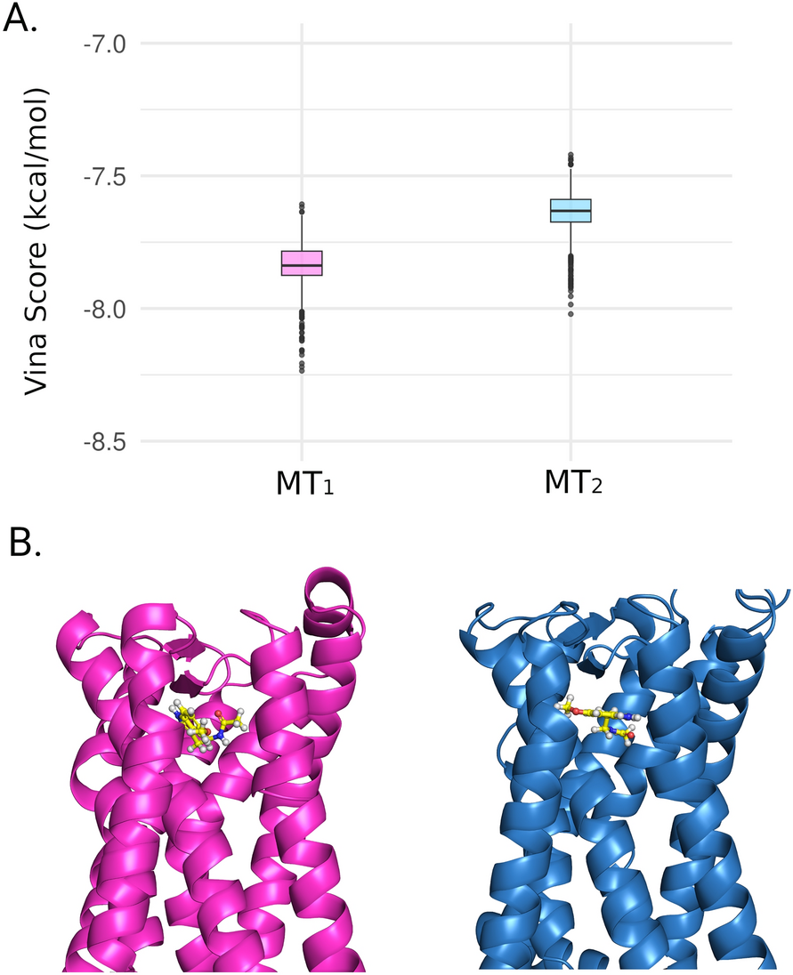 Quantum mechanics insights into melatonin and analogs binding to melatonin  MT1 and MT2 receptors | Scientific Reports