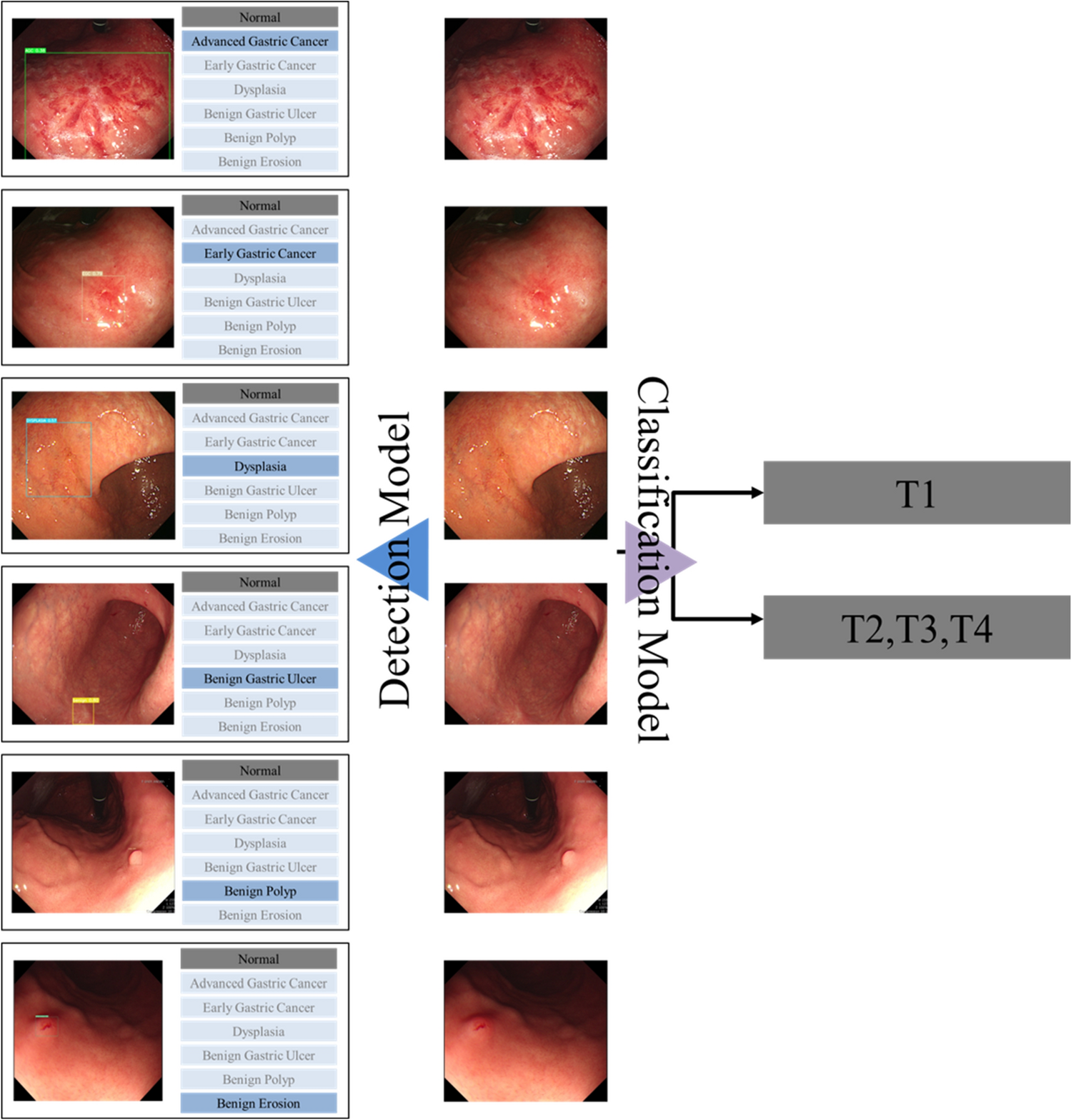 https://media.springernature.com/full/springer-static/image/art%3A10.1038%2Fs41598-024-62494-1/MediaObjects/41598_2024_62494_Fig1_HTML.png