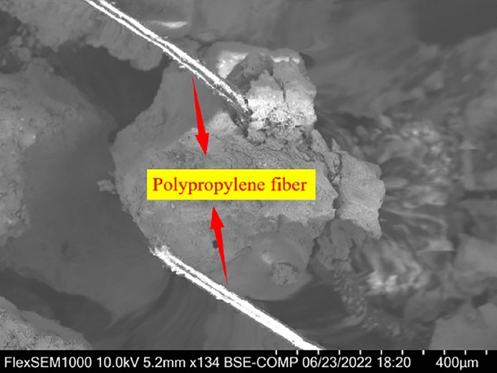 Figure 21
