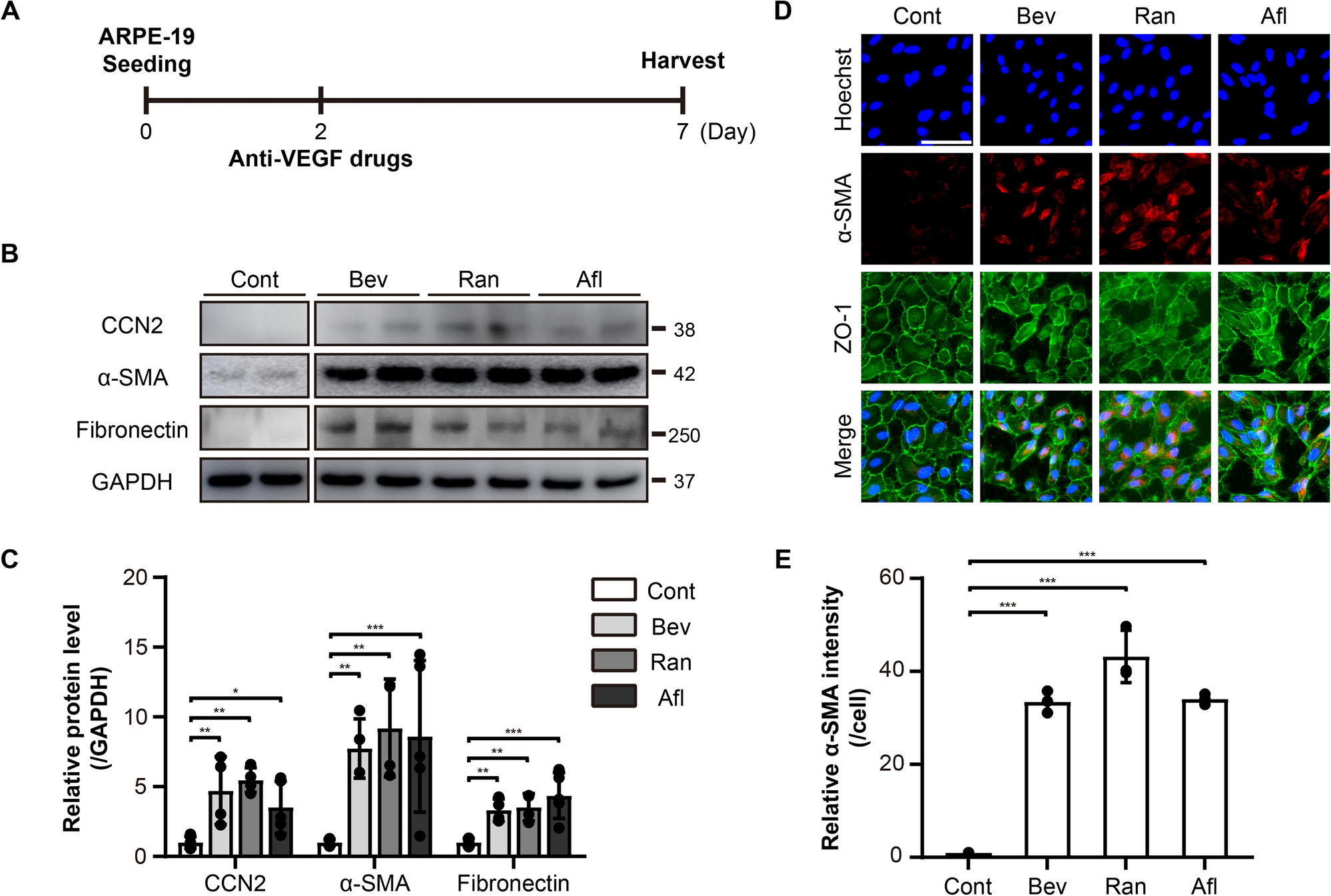 Adrenal Reset Diet: What You Need to Know | Woman's World, image size:1998x1346