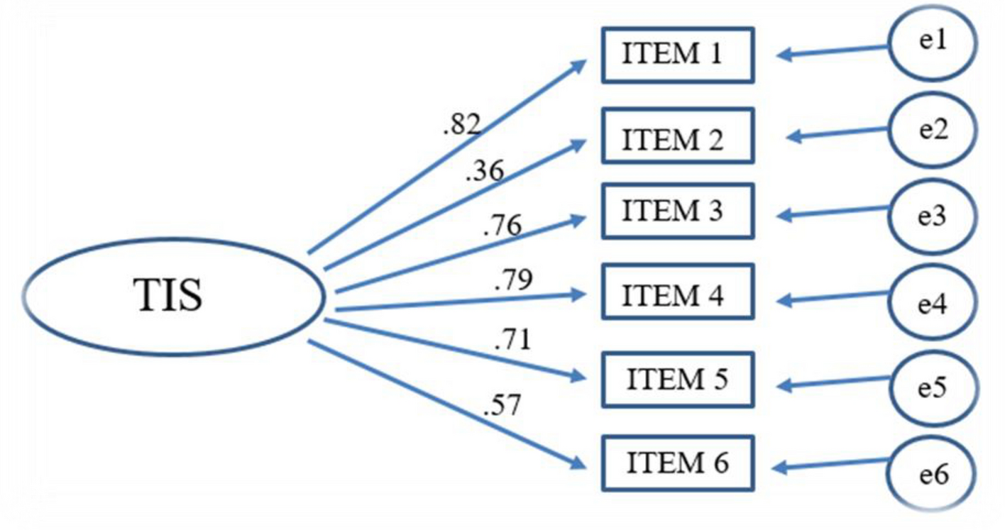 Validation of the Hungarian version of the 6-item turnover intention scale  among elderly care workers | Scientific Reports