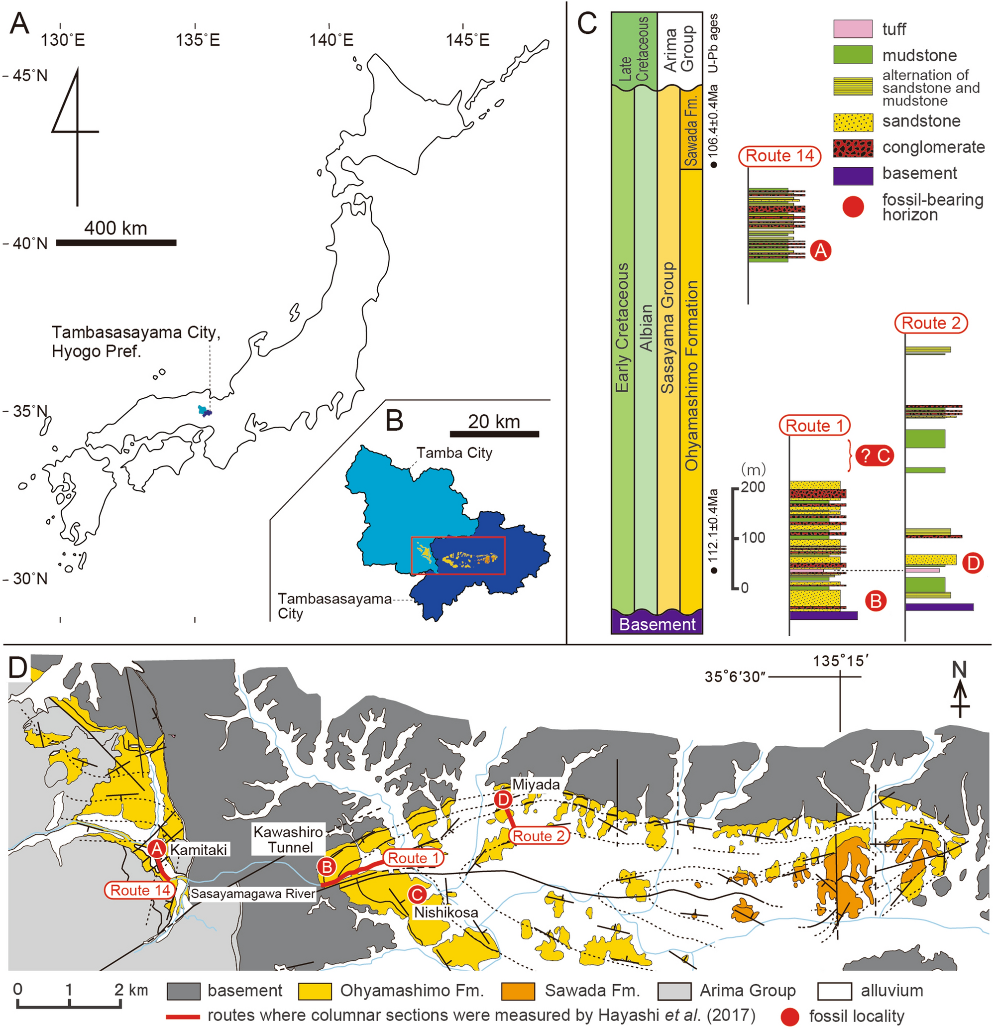 early-cretaceous-troodontine-troodontid-dinosauria-theropoda-from-the-ohyamashimo-formation-of-japan-reveals-the-early-evolution-of-troodontinae-scientific-reports