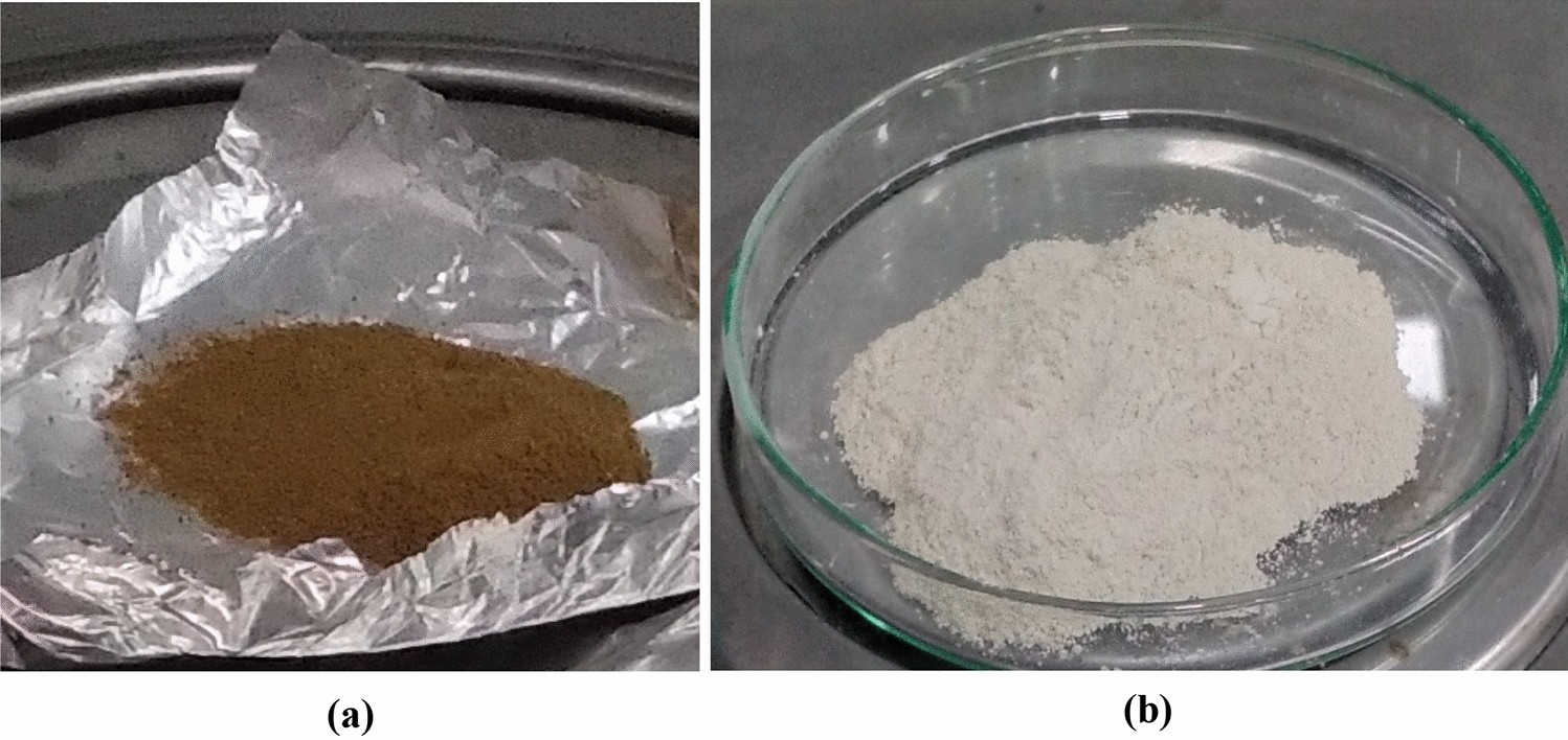 How Do You Mix Beta Glucan Powder?