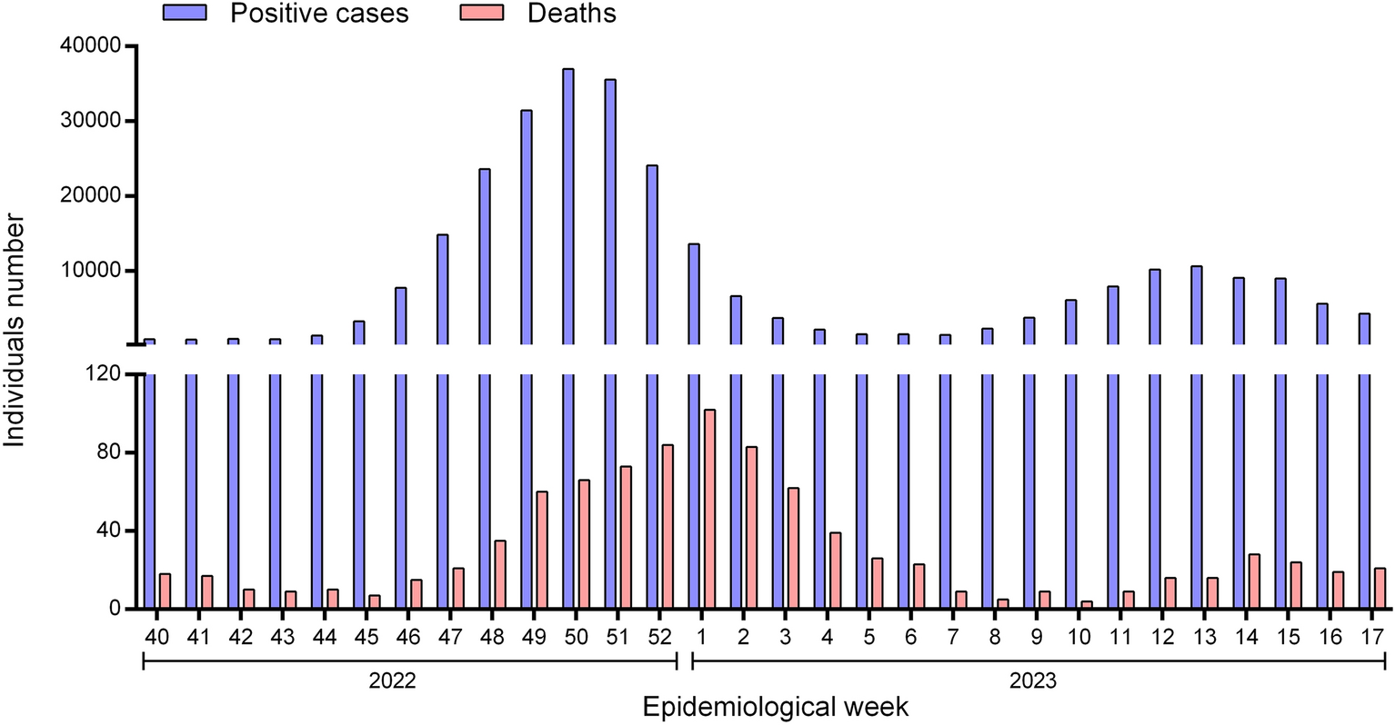 Genomic surveillance and vaccine response to the dominant SARS-CoV-2 XBB  lineage in Rio Grande do Sul | Scientific Reports