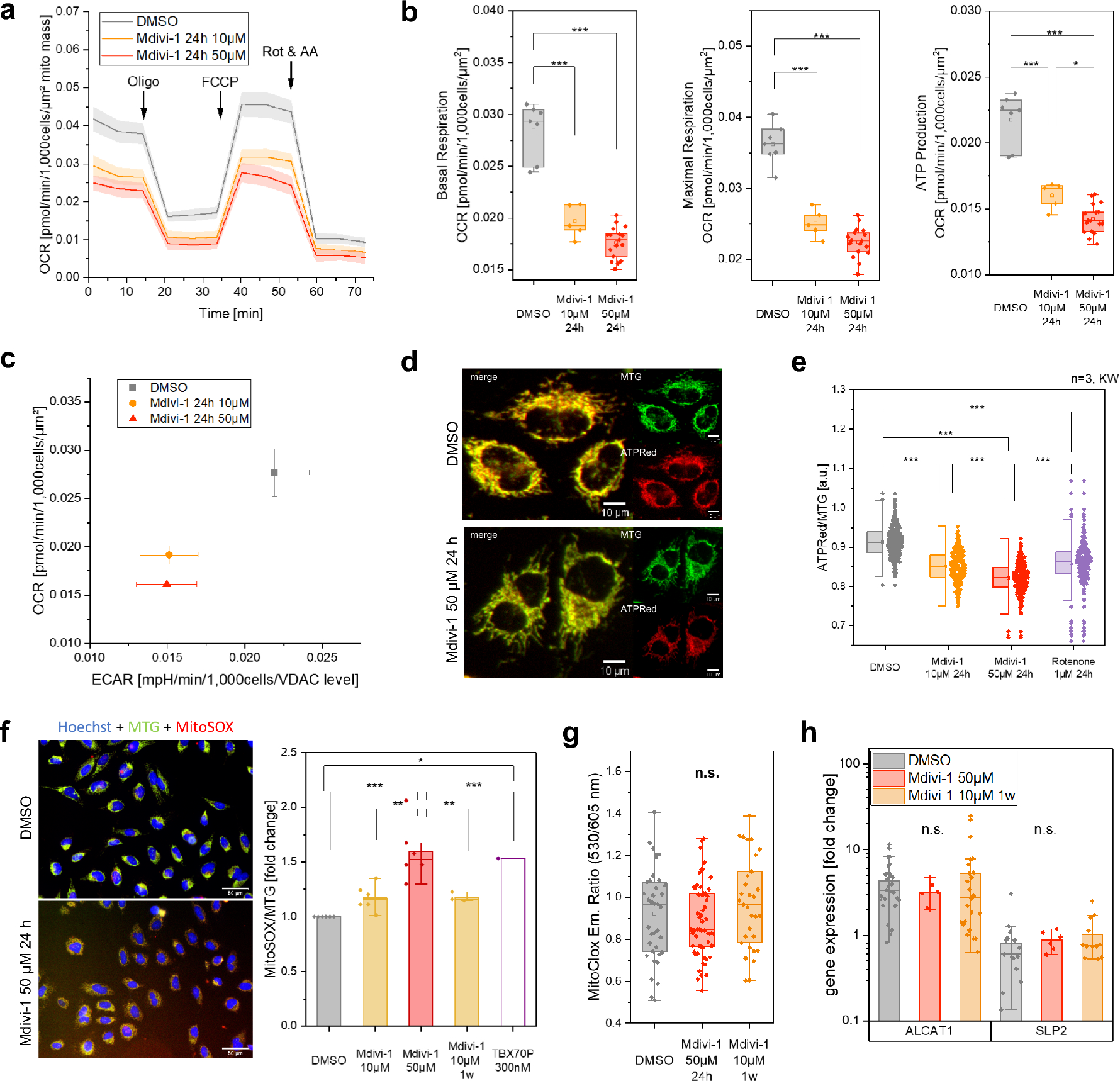 Detailed analysis of Mdivi-1 effects on complex I and respiratory supercomplex assembly | Scientific Reports detailed-analysis-of-mdivi-1-effects-on-complex-i-and-respiratory-supercomplex-assembly-scientific-reports