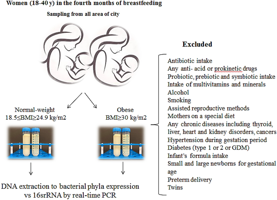 Breast milk dominant phyla and probiotic bacteria in the obese 