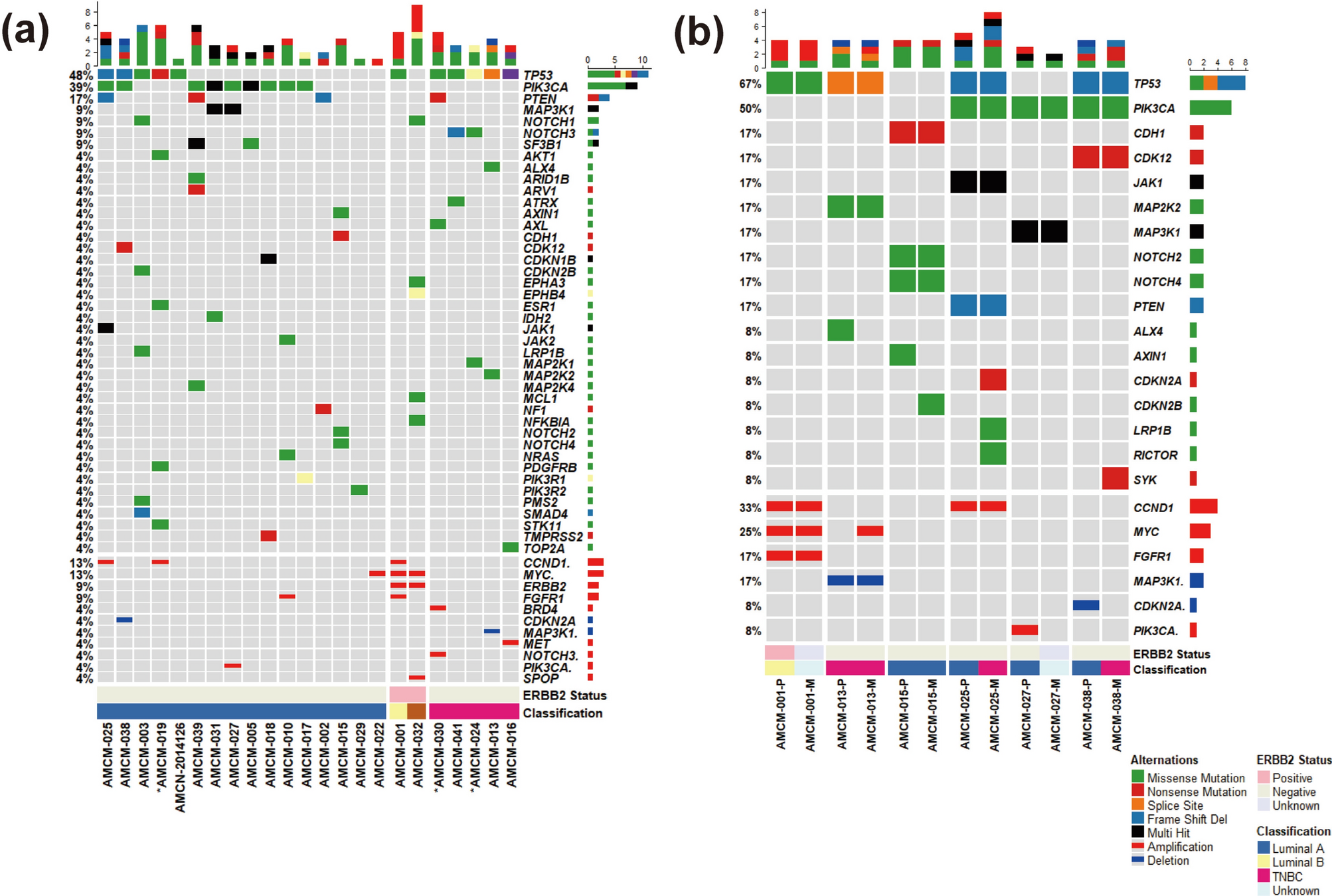 Longitudinal dynamics of circulating tumor DNA for treatment monitoring in  patients with breast cancer recurrence | Scientific Reports