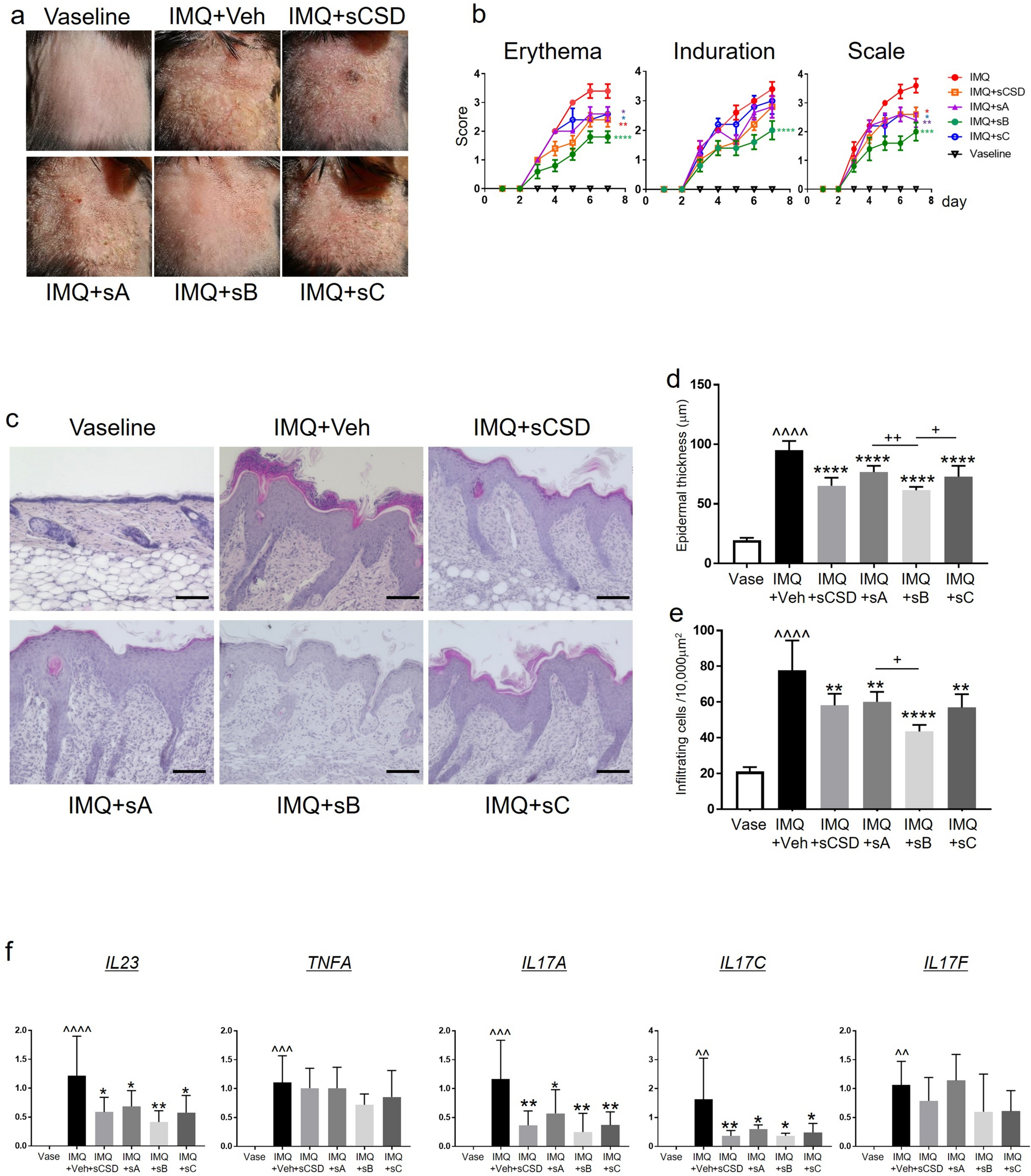 klow peptide dosage per day pdf Turns out “anti-inflammatory” isn't always healthy. Especially when blunts  are involved. I break down the KPV effect nobody is talking about main image 1