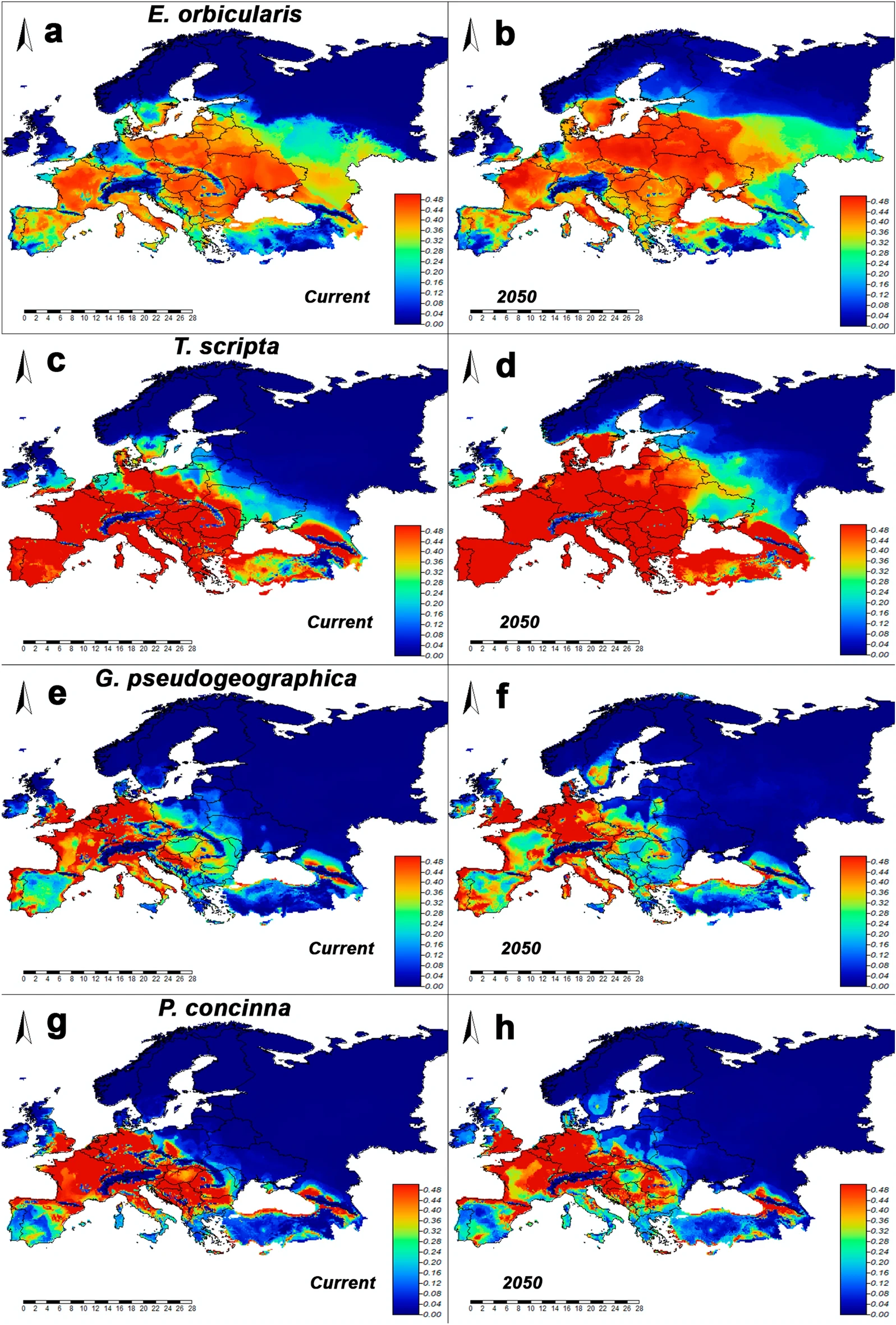 https://media.springernature.com/full/springer-static/image/art%3A10.1038%2Fs41598-024-71911-4/MediaObjects/41598_2024_71911_Fig1_HTML.png?as=webp