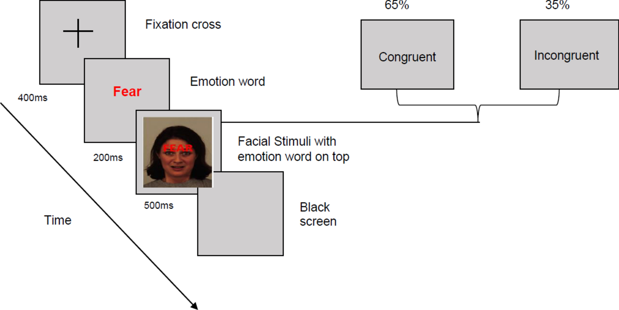 The role of affective control, strategy repertoire and subjective emotion  regulation success in developmental internalising psychopathology |  Scientific Reports