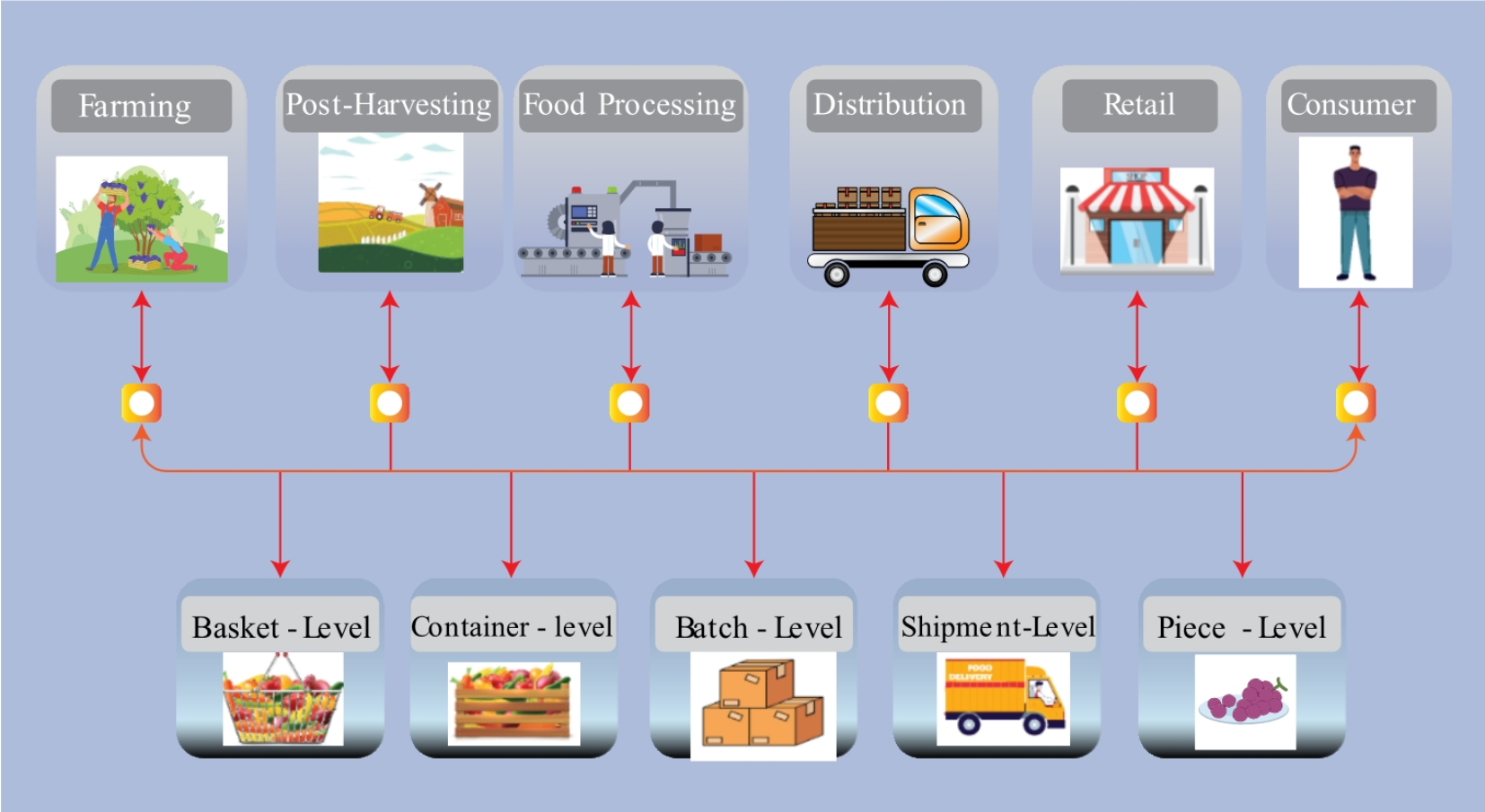 Tracking perishable foods in the supply chain using chain of things  technology | Scientific Reports