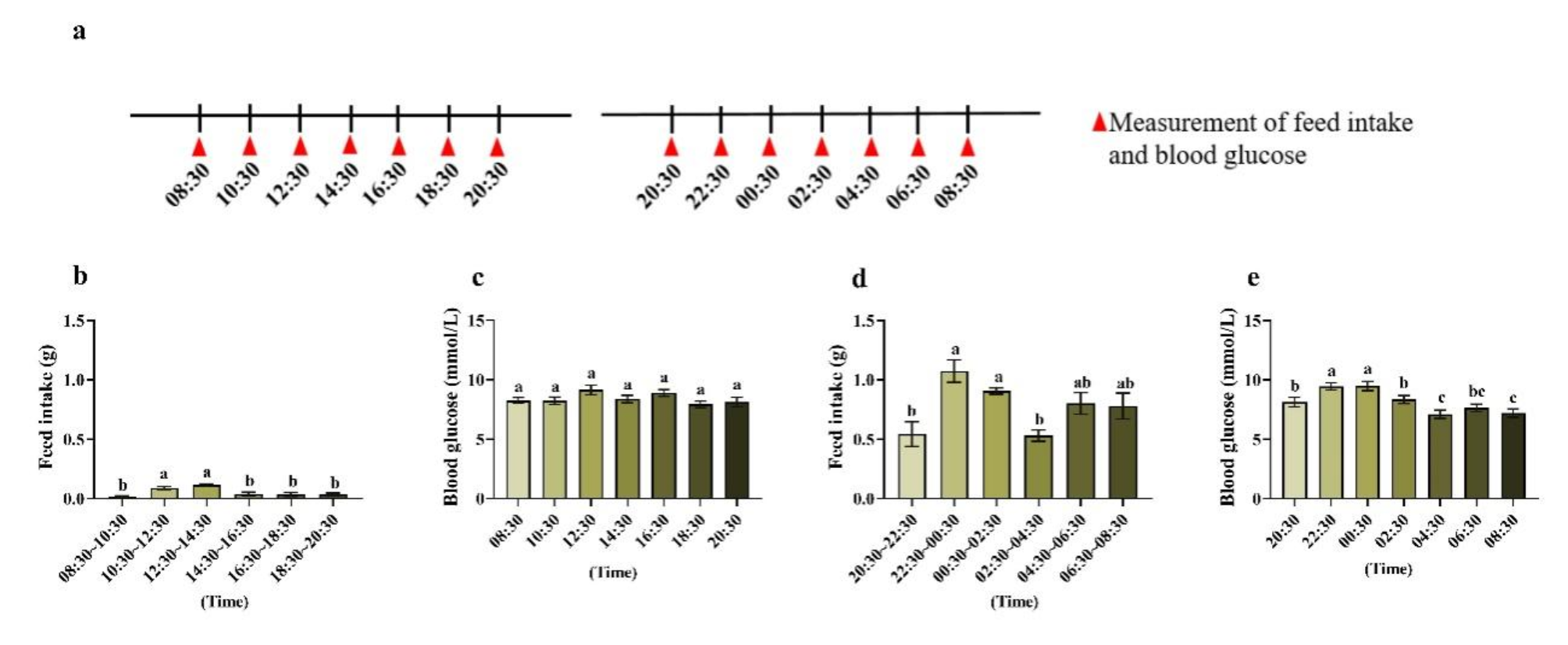 Optimal fasting duration for mice as assessed by metabolic status |  Scientific Reports