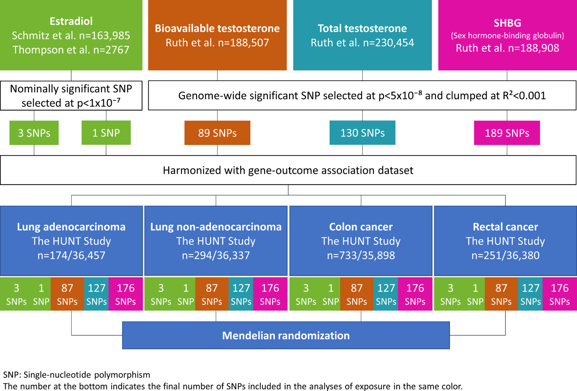 Sex hormones and risk of lung and colorectal cancers in women: a Mendelian  randomization study | Scientific Reports