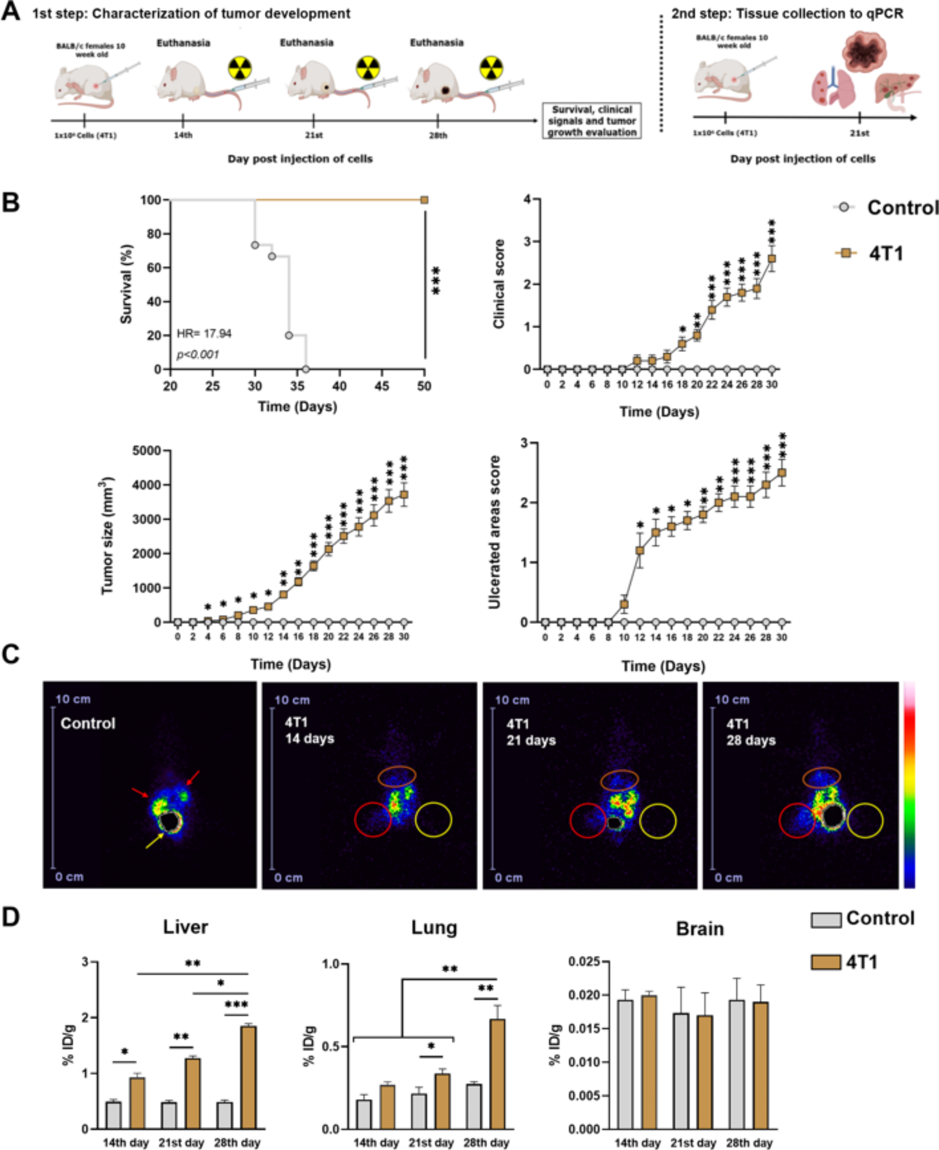 Screening and validating the optimal panel of housekeeping genes for 4T1  breast carcinoma and metastasis studies in mice | Scientific Reports