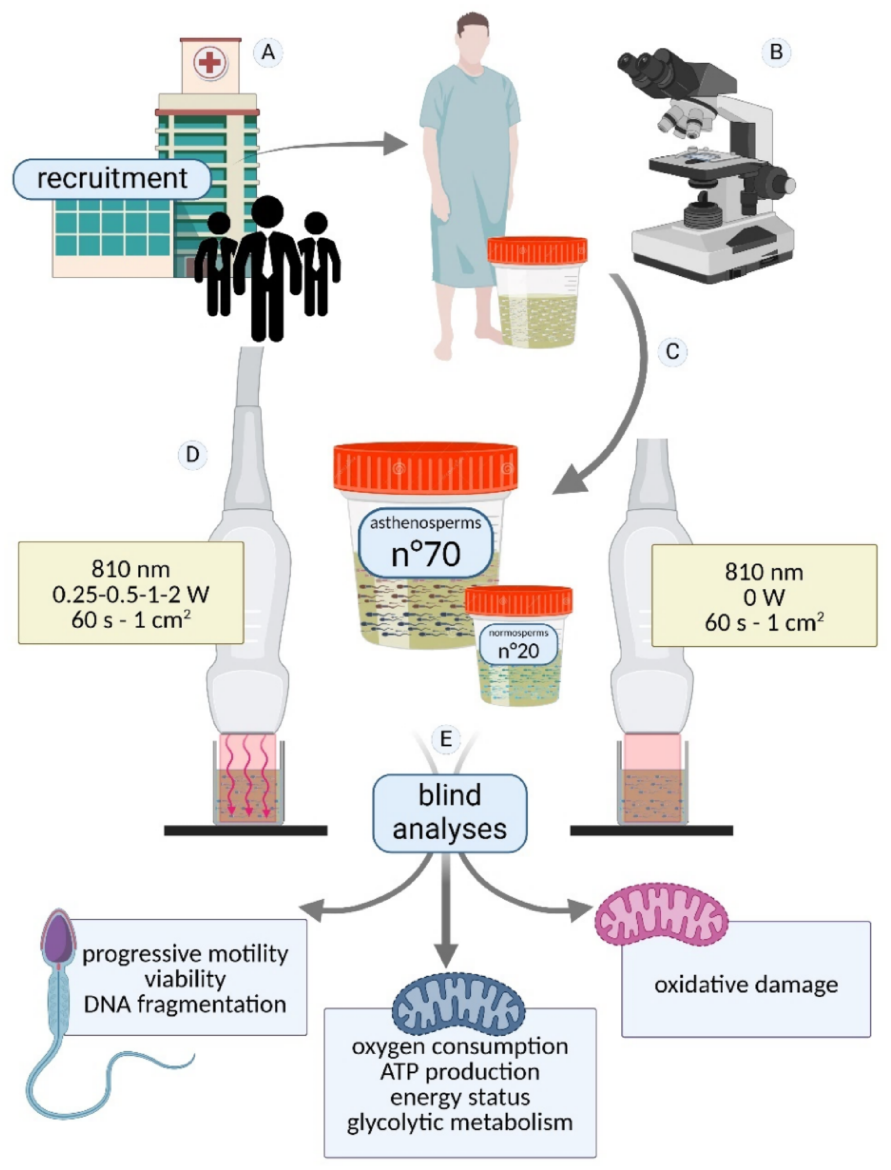 tesamorelin ipamorelin blend dosage reddit Thank you @entitledhousewife for your hilarious satire. Be sure to check  the full reel out . NOTE- this is NOT about GLP1s or FDA approved and well  studied peptides . This is