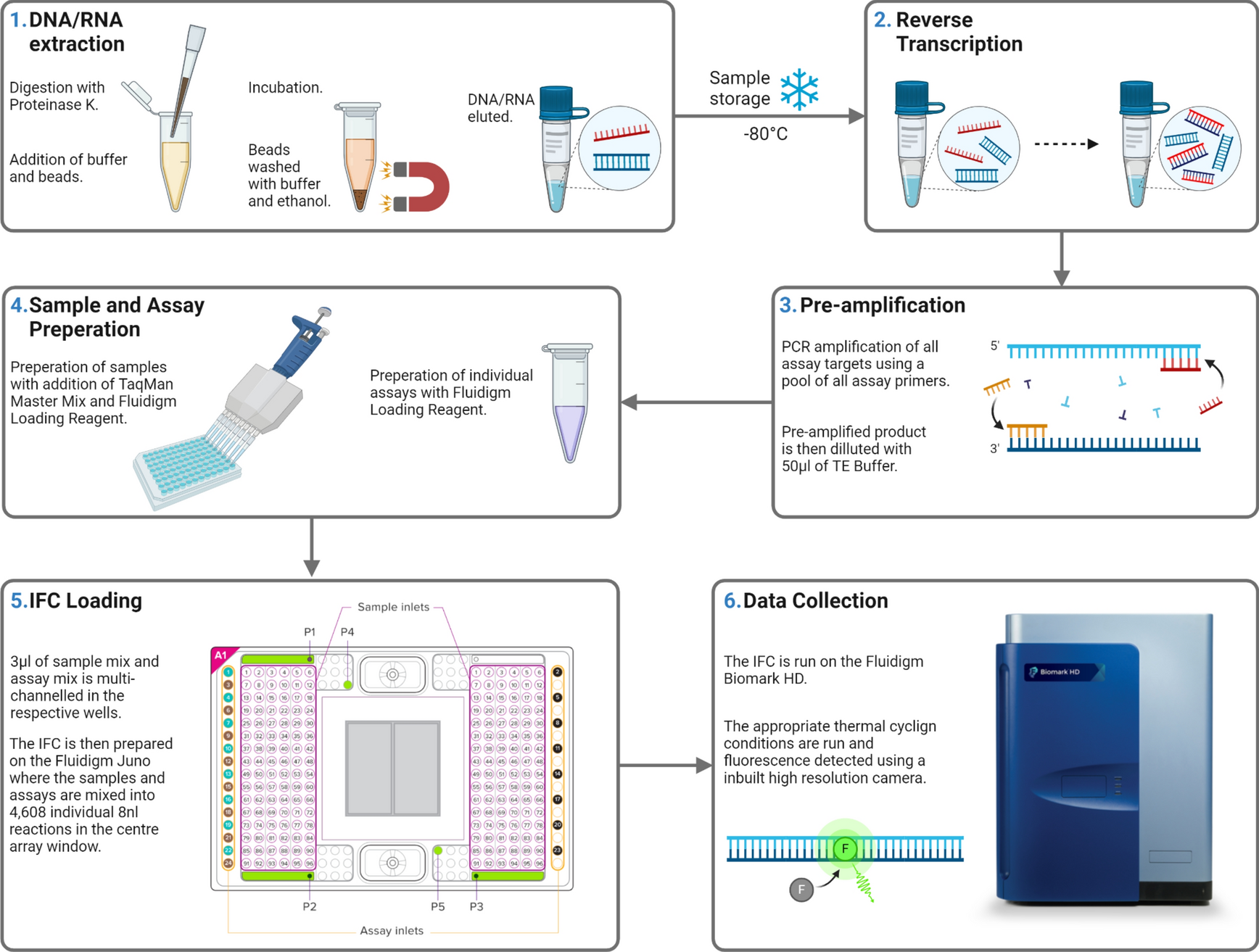 Microfluidic qPCR for detection of 21 common respiratory viruses ...