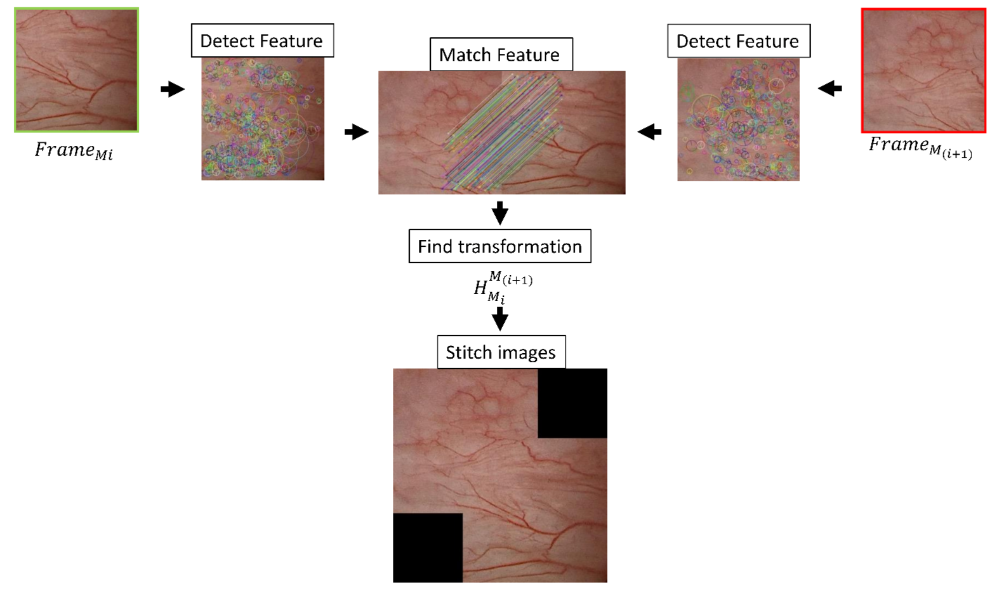 lsm.jpg4.us | imagesize: lmc-006 Progress in antileishmanial drugs: Mechanisms, challenges, and prospects |  PLOS Neglected Tropical Diseases