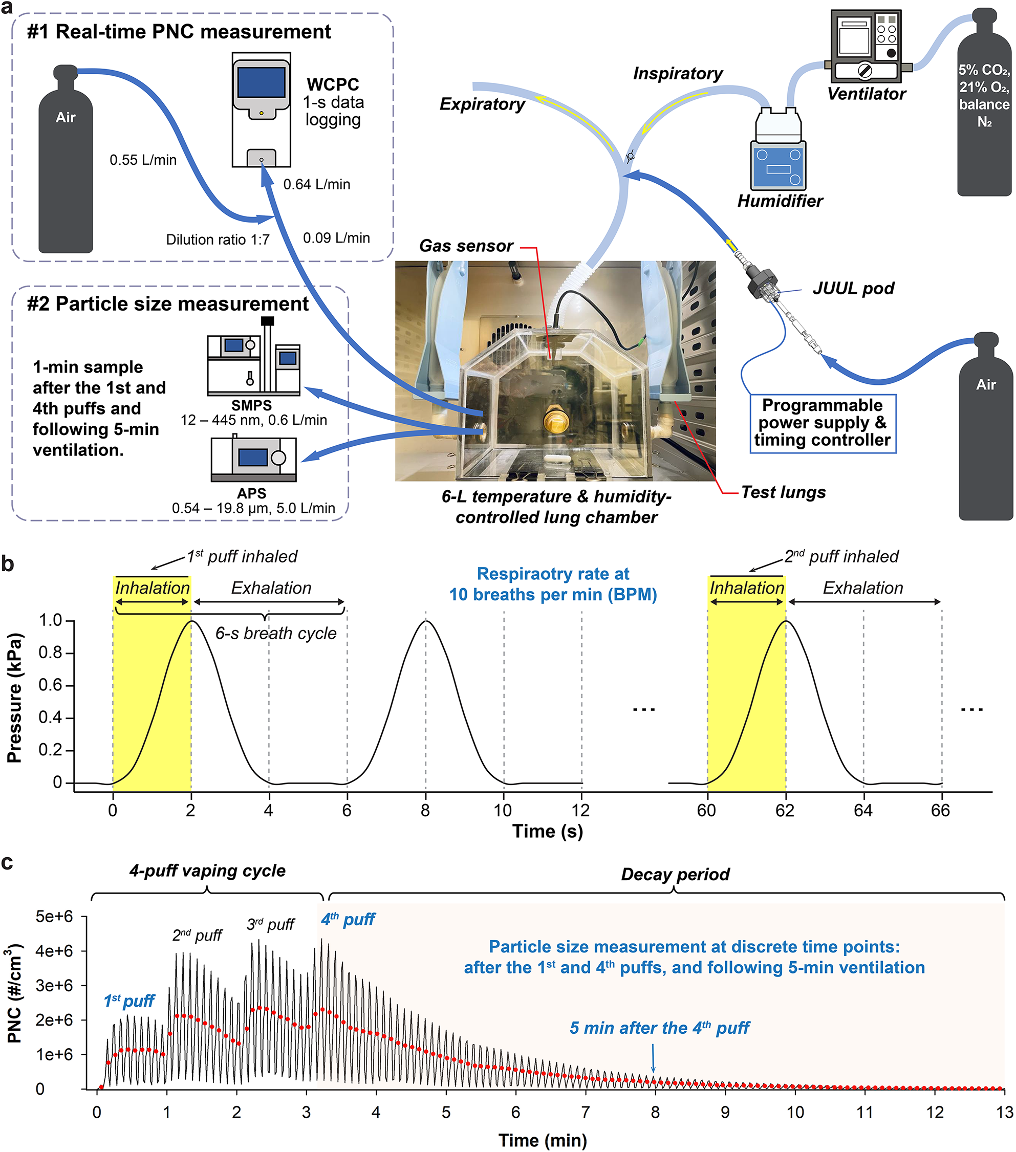 Ventilation and features of the lung environment dynamically alter modeled  intrapulmonary aerosol exposure from inhaled electronic cigarettes |  Scientific Reports
