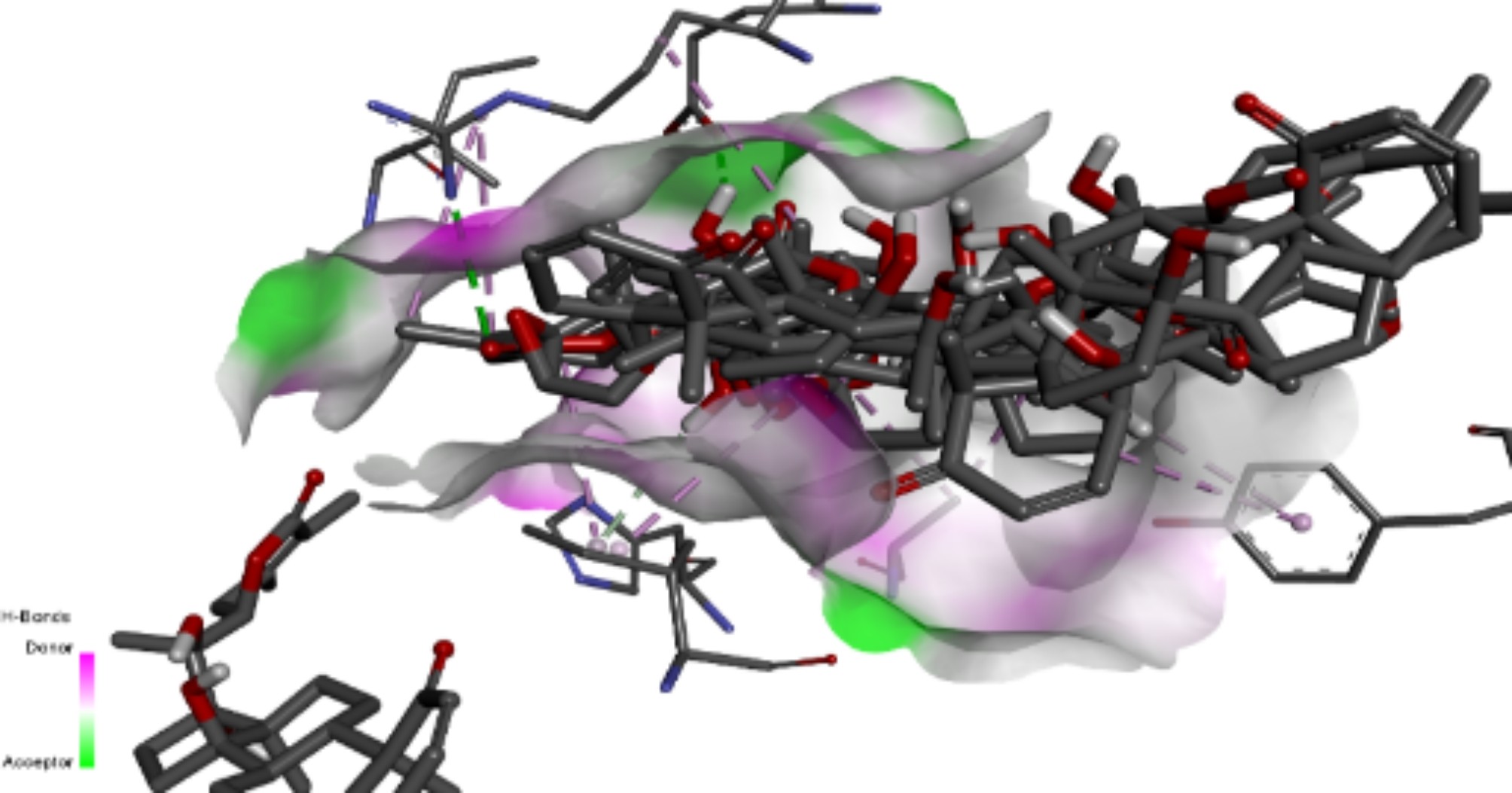 Fig. 10