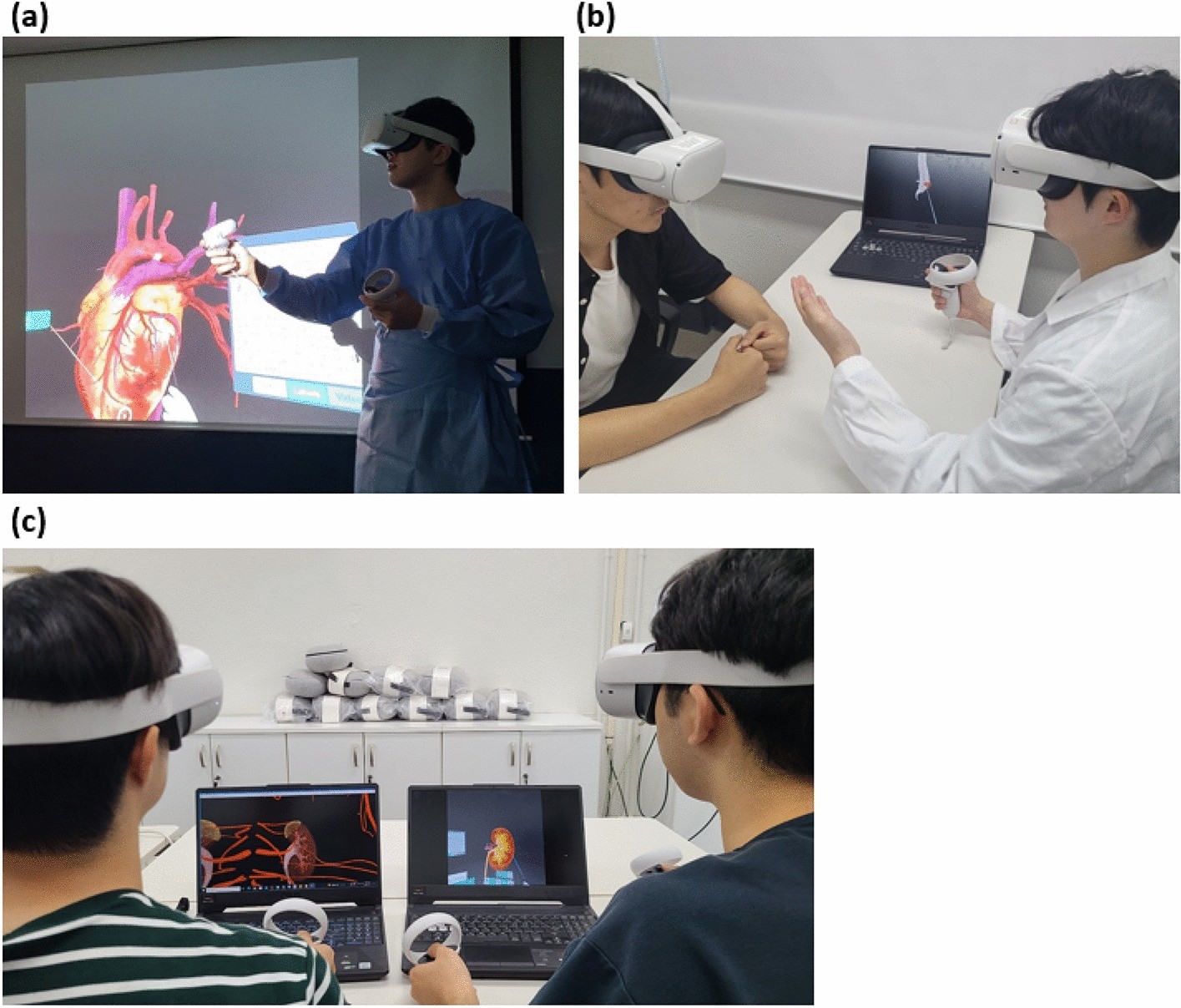 3D модель анатомии человека в VR
