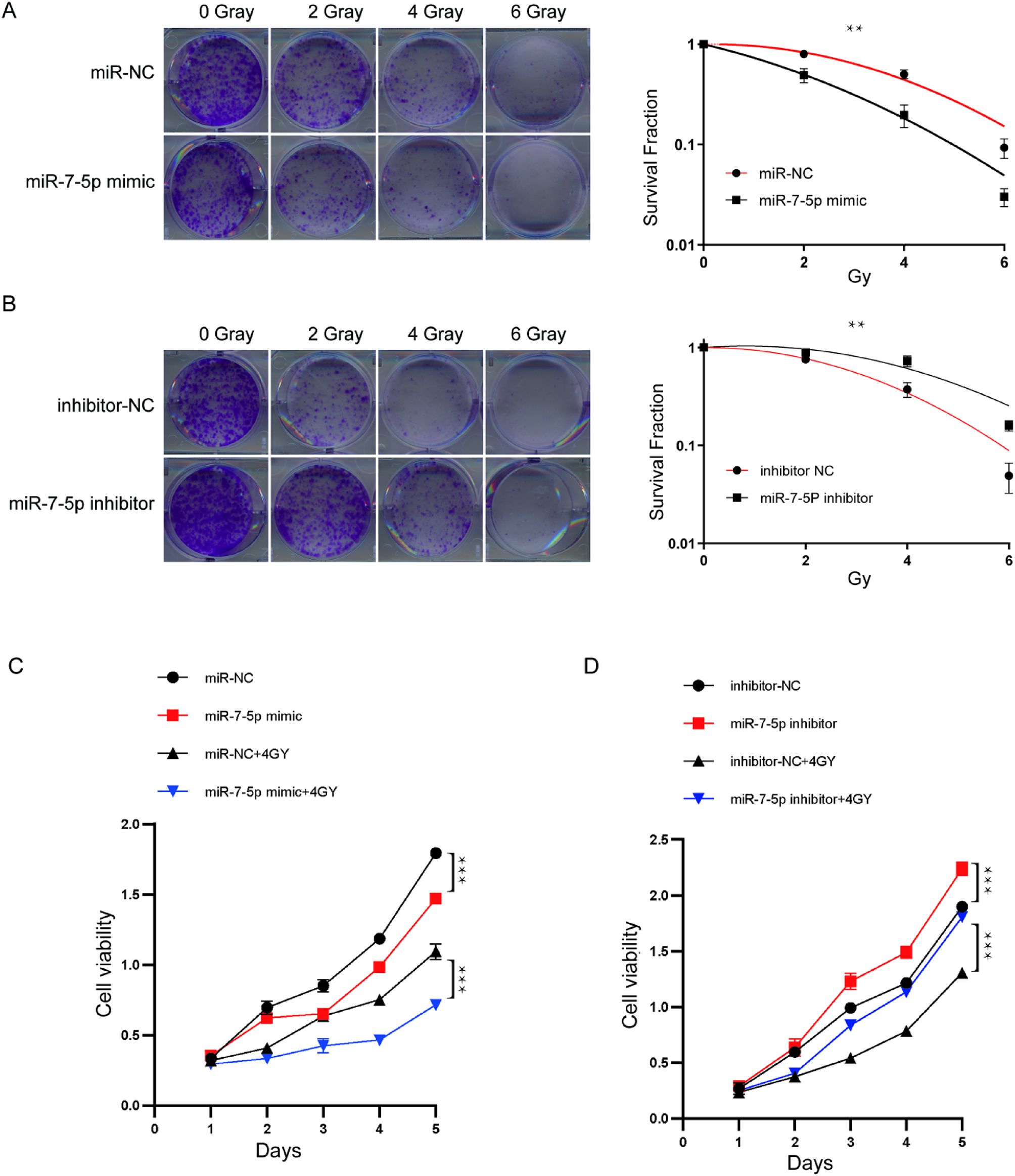 Deli Boys Challenges South Asian Stereotypes With Its Writing, image size:2008x2326