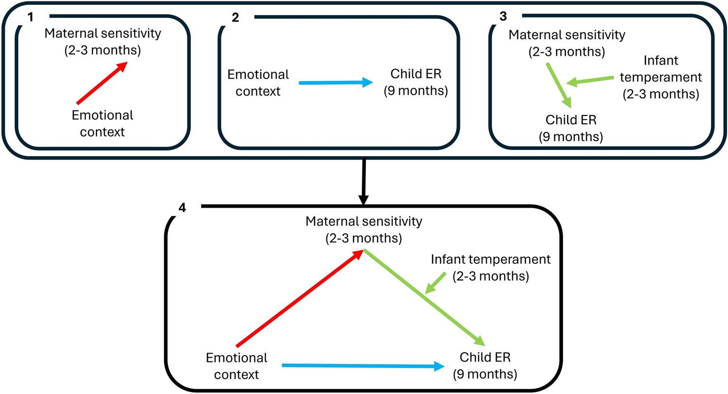 The role of maternal sensitivity, infant temperament, and emotional context  in the development of emotion regulation | Scientific Reports, image size:1499x812