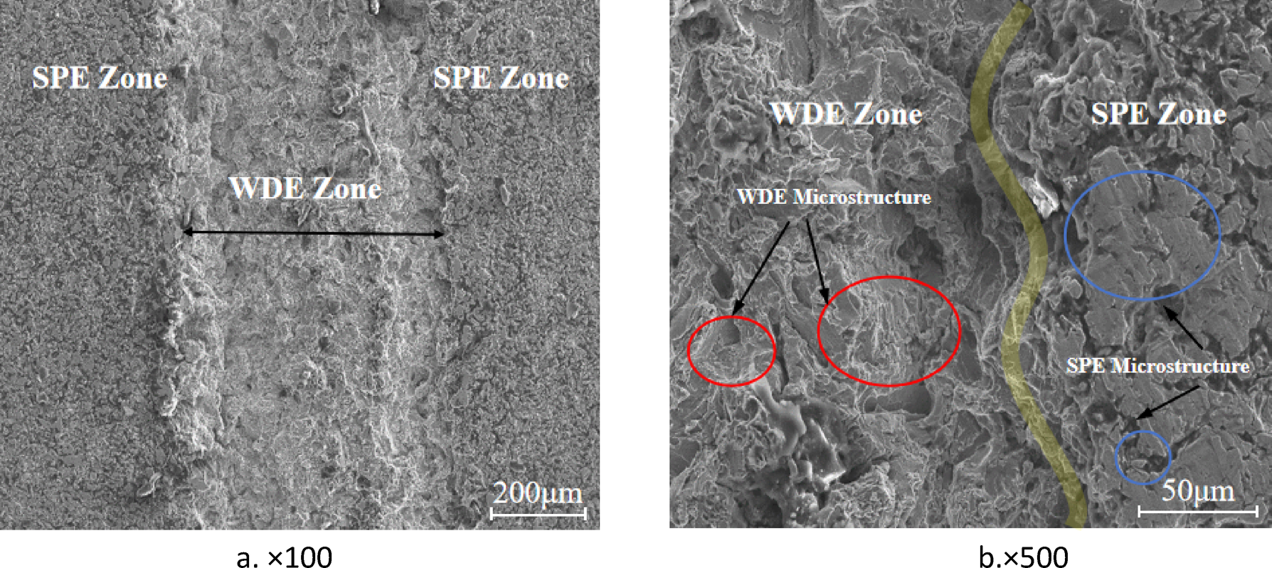 Fig. 12