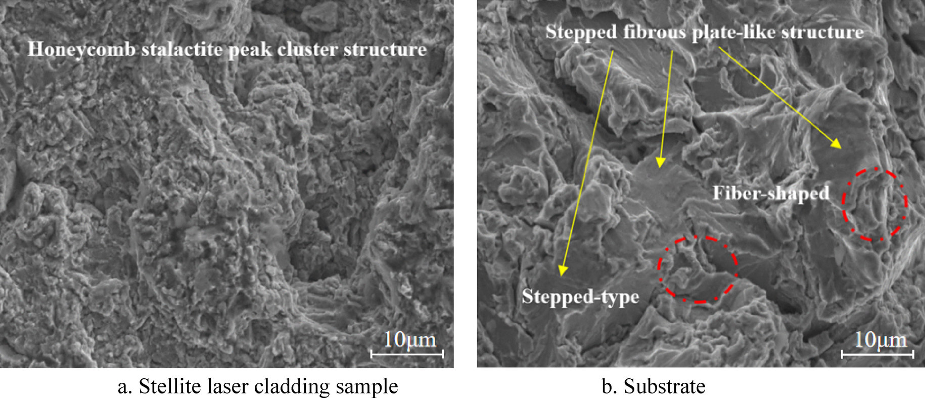 Fig. 15