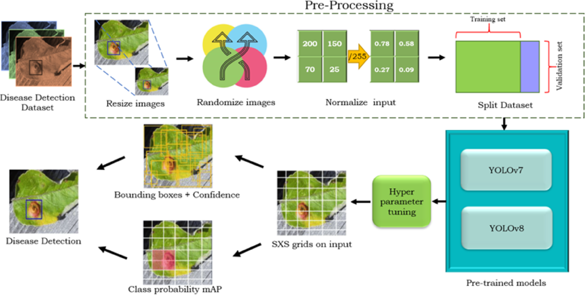 An efficient plant disease detection using transfer learning approach |  Scientific Reports