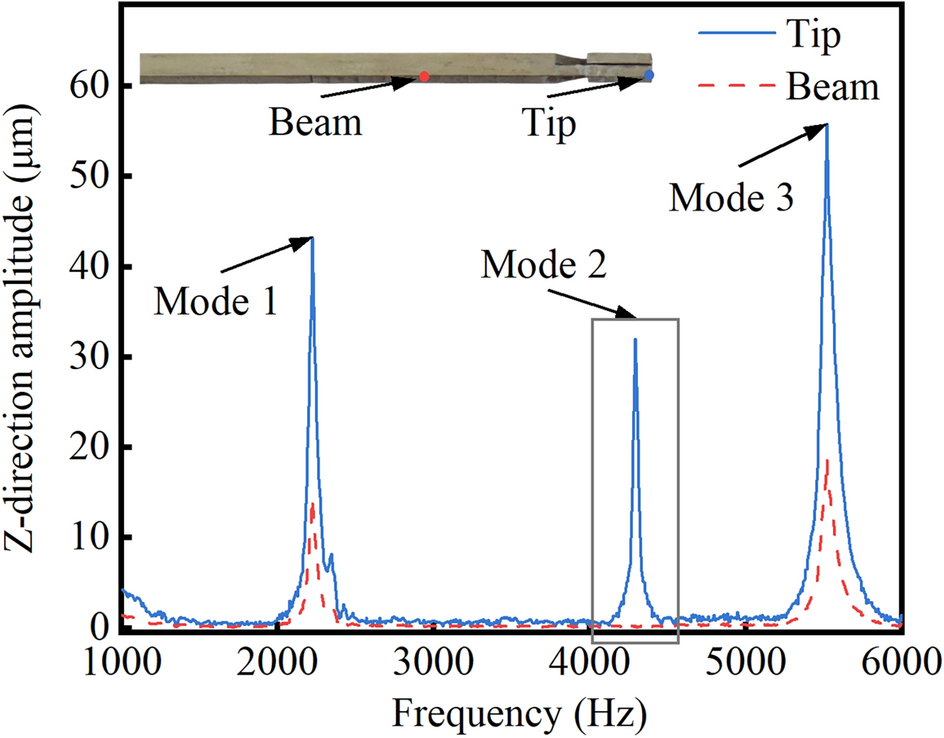 Fig. 19