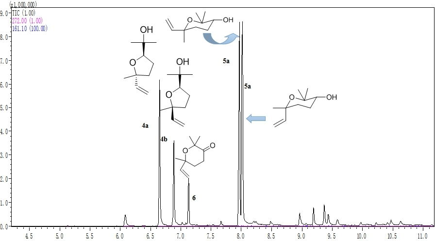 Fig. 12