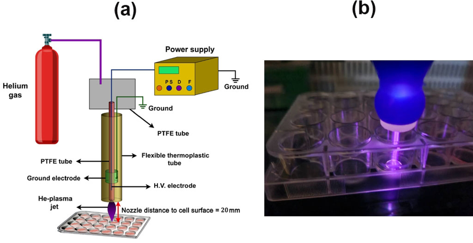 is plasma contain glutathione The System: A Journey from Cyanobacteria to Higher Eukaryotes Apoptotic effects of cold atmospheric