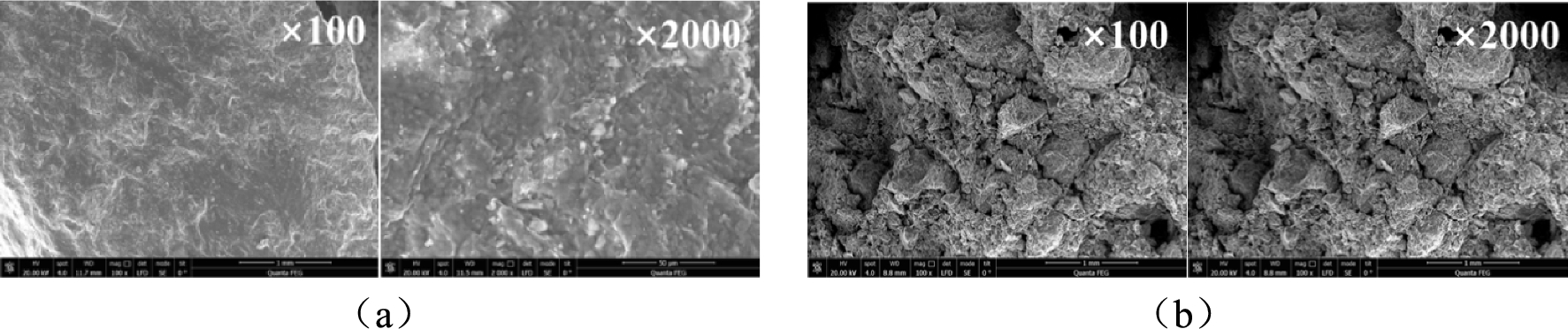 Fig. 16