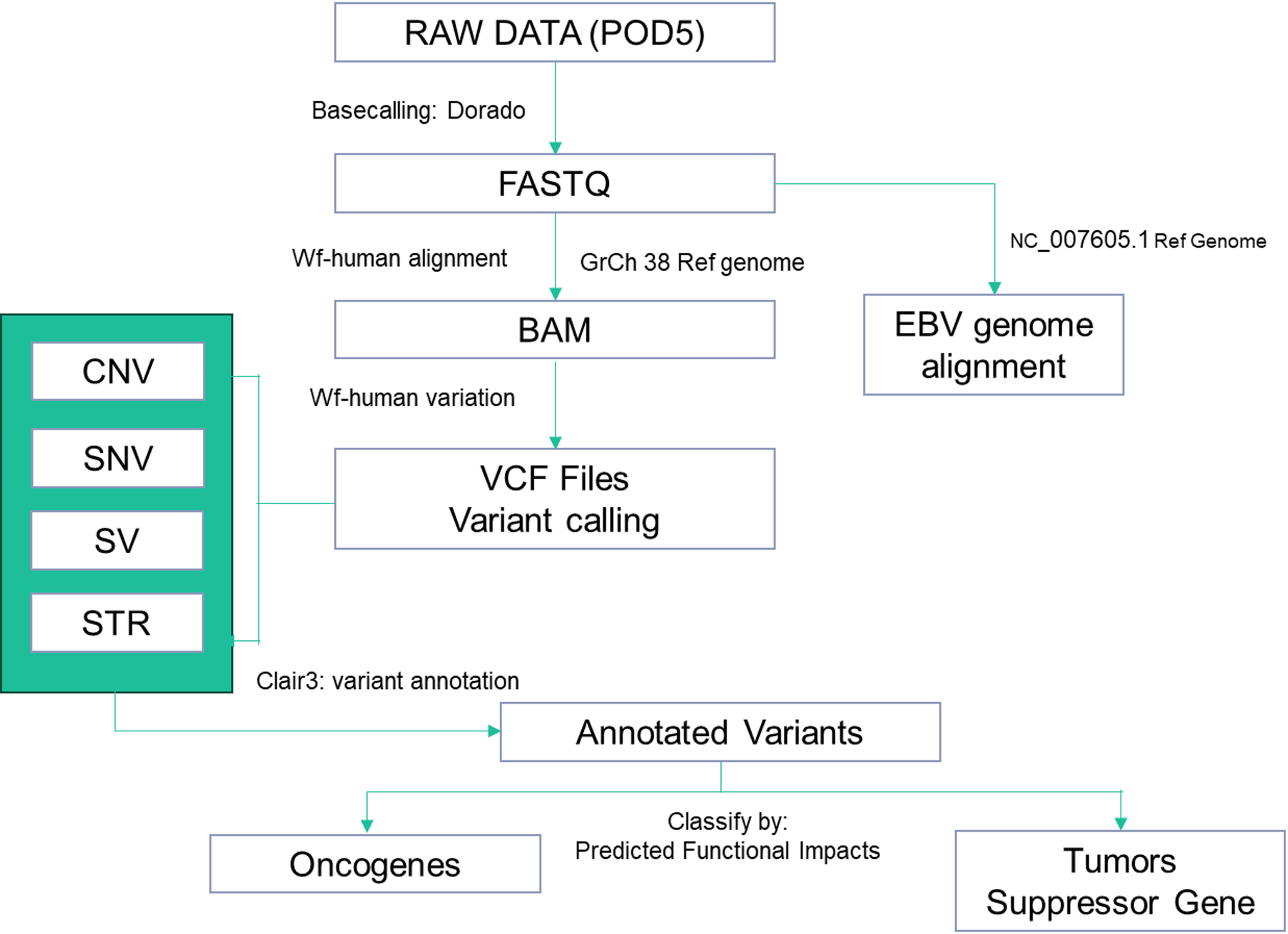 Scientific Reports - Feasibility of long-read sequencing to identify molecu...