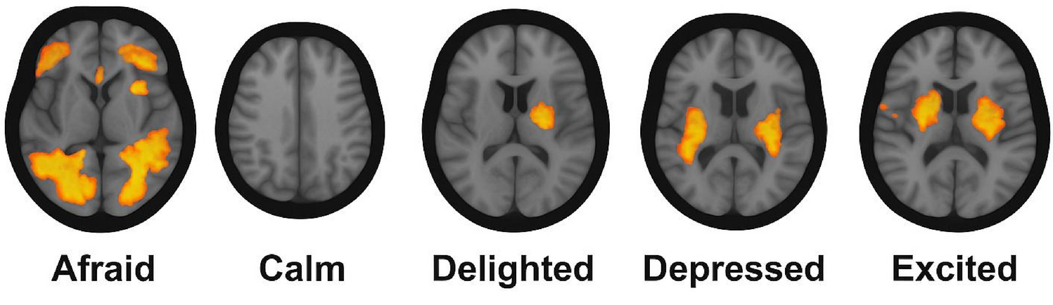 brain scan visualization showing neural activity during first impression formation with orange highlight on recognition areas