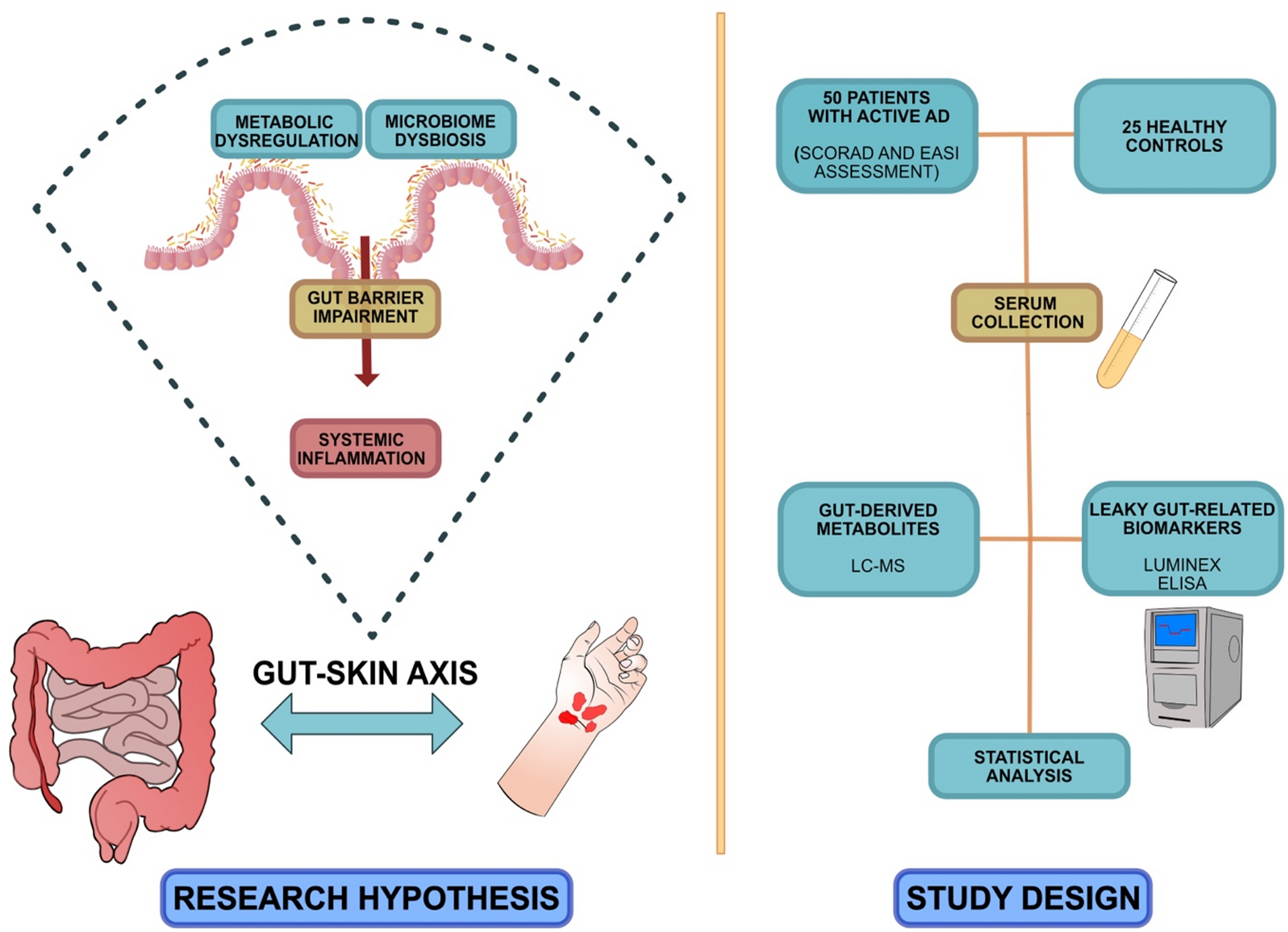 l carnitine eczema Severity of atopic dermatitis is associated with gut-derived metabolites  and leaky gut-related biomarkers