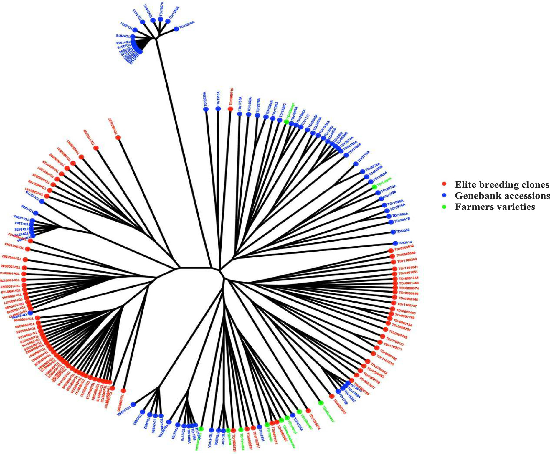 Genome wide association studies in yam reveal the challenge of high  heterozygosity | Scientific Reports