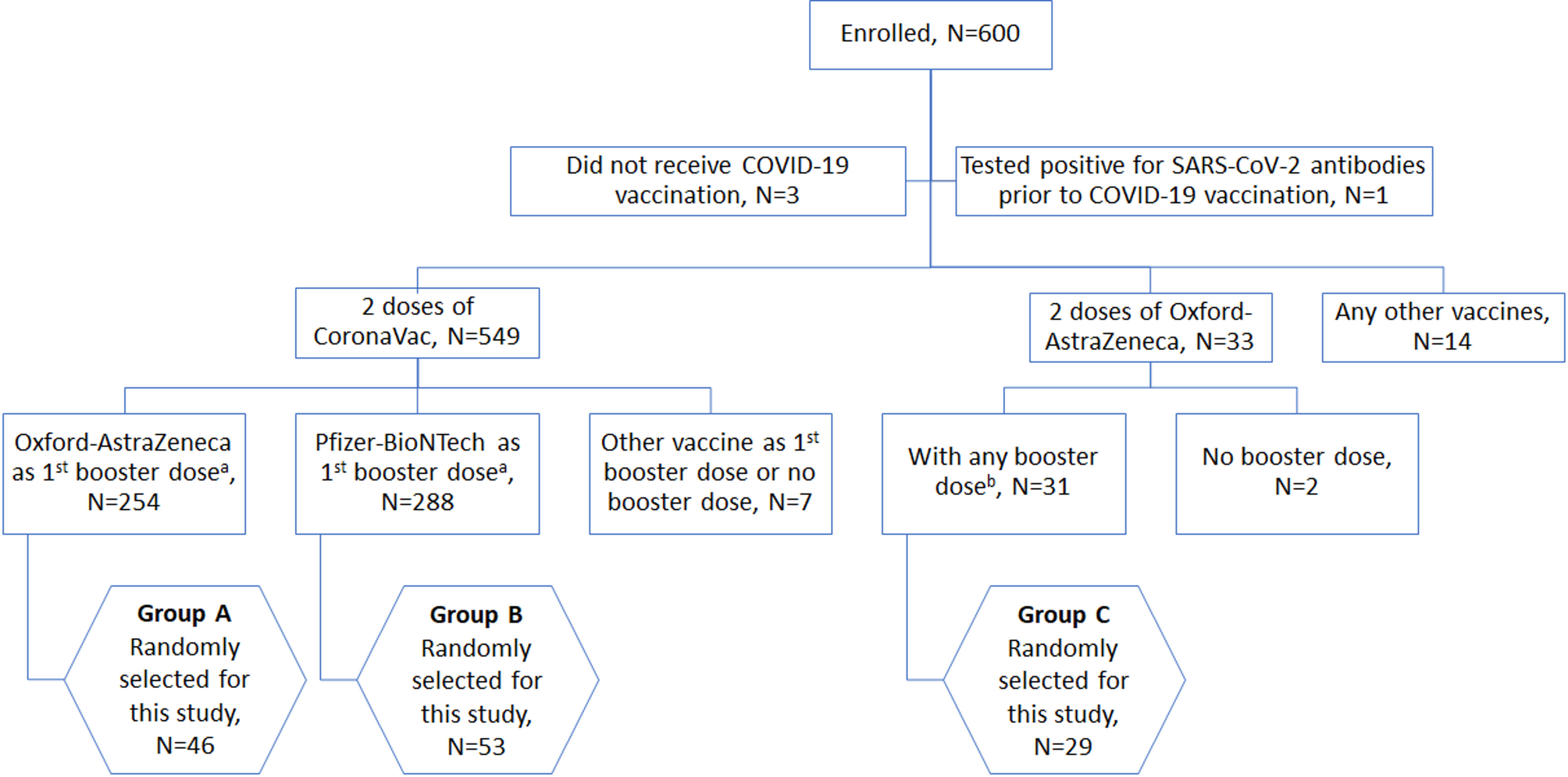 The impact of vaccine booster doses on specific B- and T 