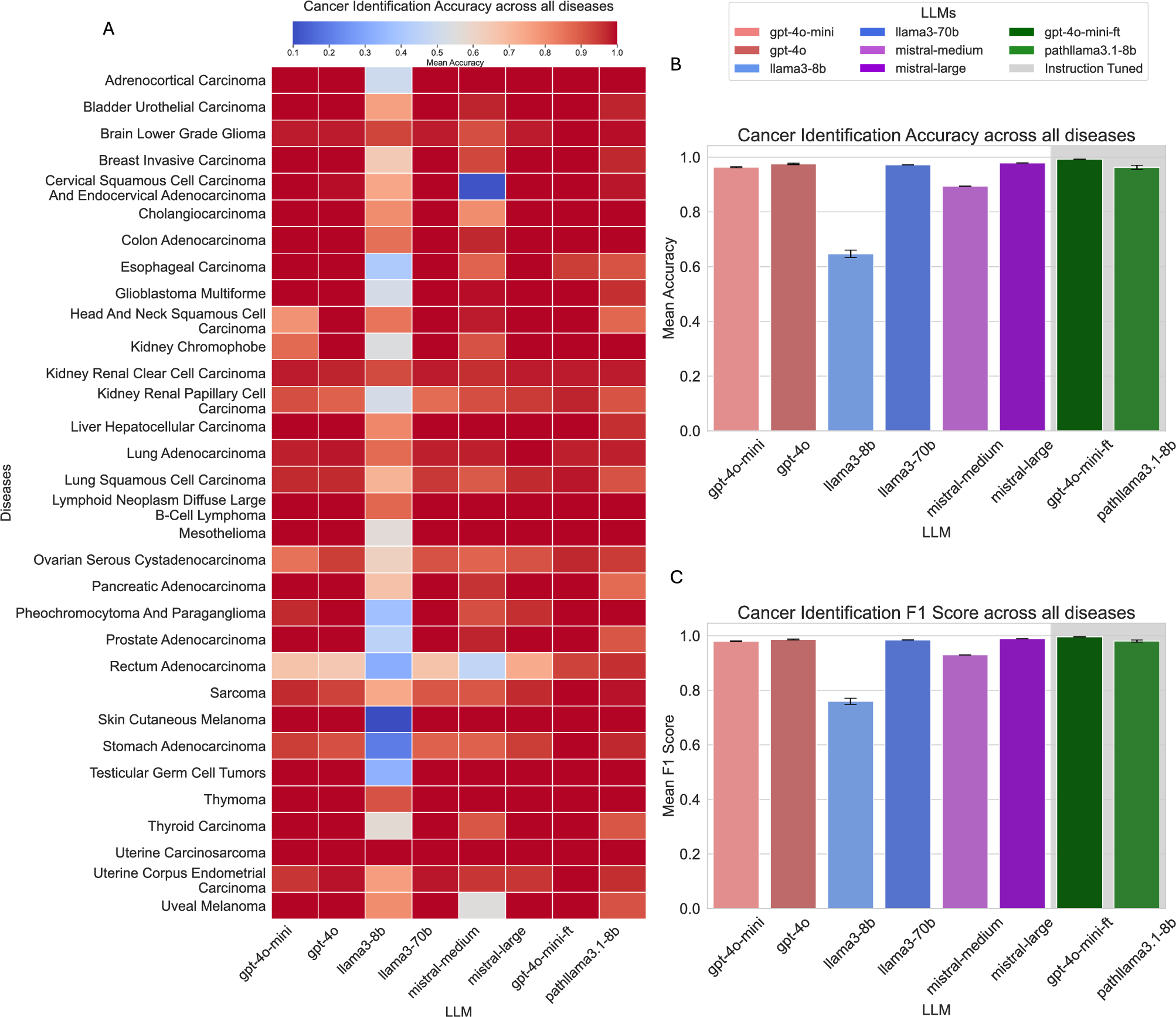 Cancer type, stage and prognosis assessment from pathology reports using  LLMs | Scientific Reports