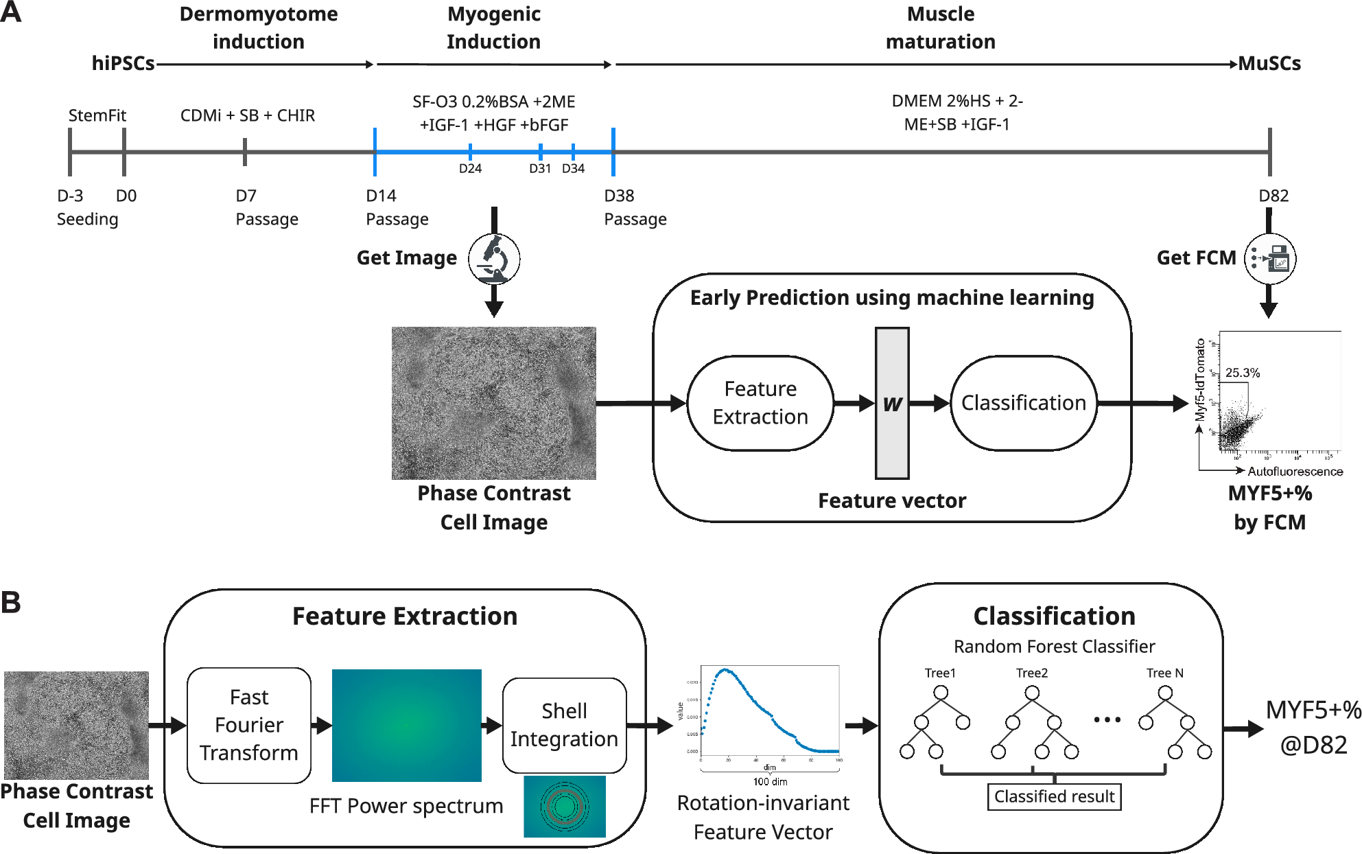 Consigli Ruggerio Funeral Home - Consigli Ruggerio Funeral Home, image size:1985x1244