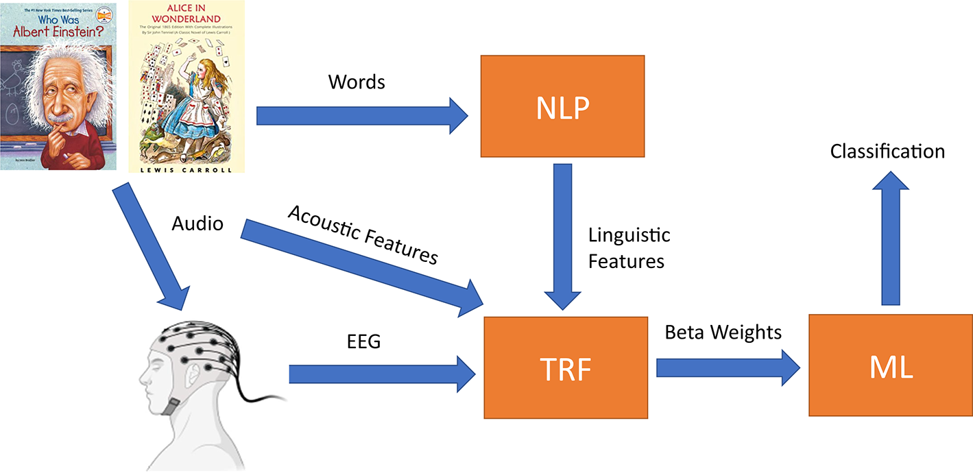 物語を聴くことが言語障害の診断に役立つ可能性(Listening to a Story Could Help Diagnose Language Disorders, UH Researcher Finds)