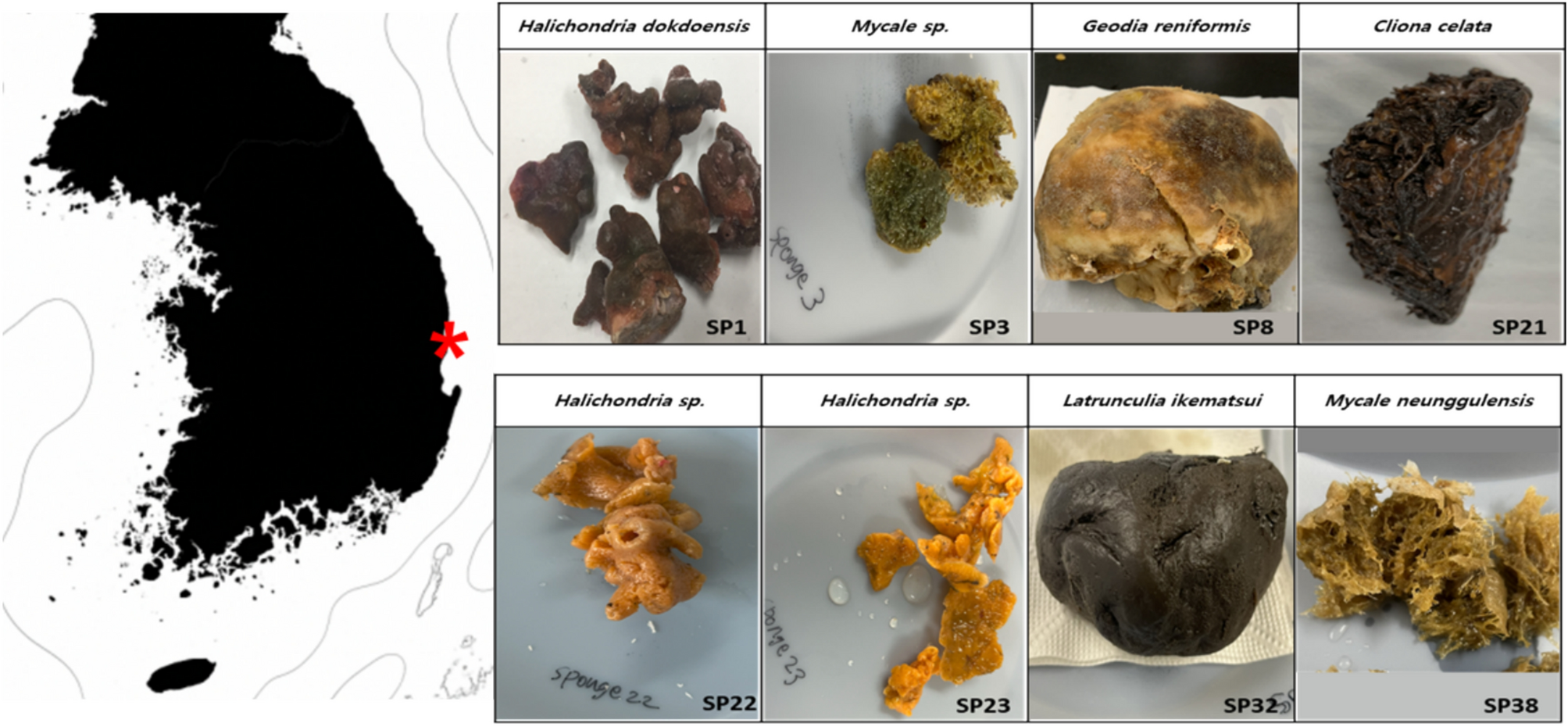 Erome jany lavigne cerca: 𝑺𝔥𝔞𝔦𝔢𝔫𝔢 samara samara carneiro