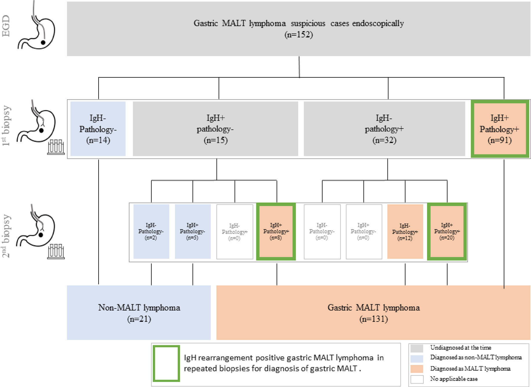 Clinical utility of repeated IgH gene rearrangement testing for the  diagnosis and surveillance of gastric MALT lymphoma | Scientific Reports