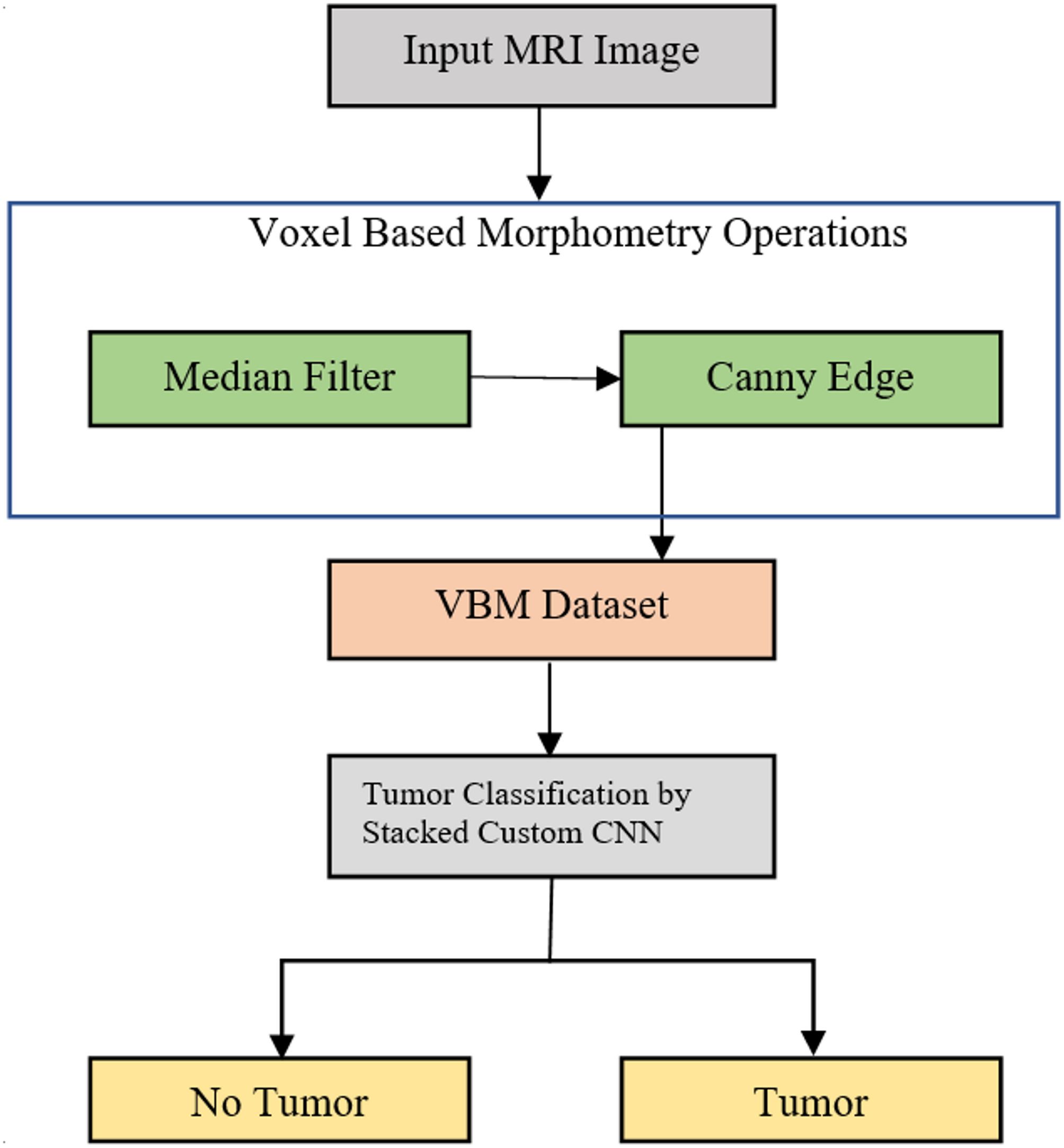 A stacked custom convolution neural network for voxel-based human brain  morphometry classification | Scientific Reports